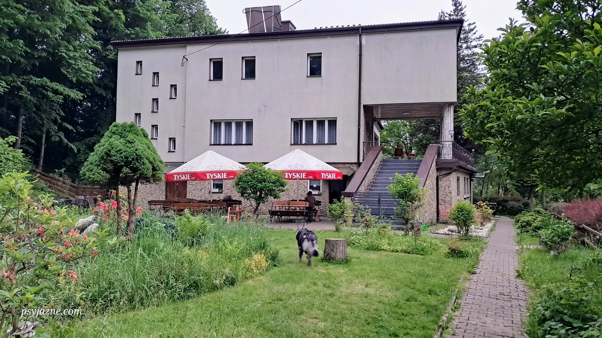 Bar Niwka Zembrzyce