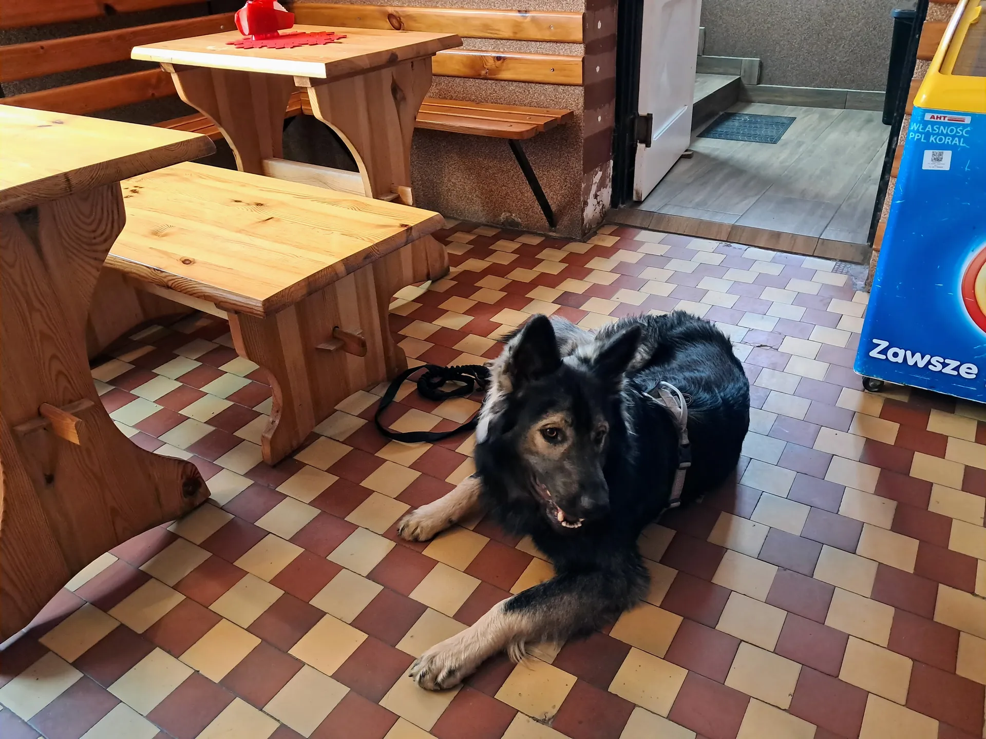 Bar Pod Cyckiem na Przełęczy Gruszowiec