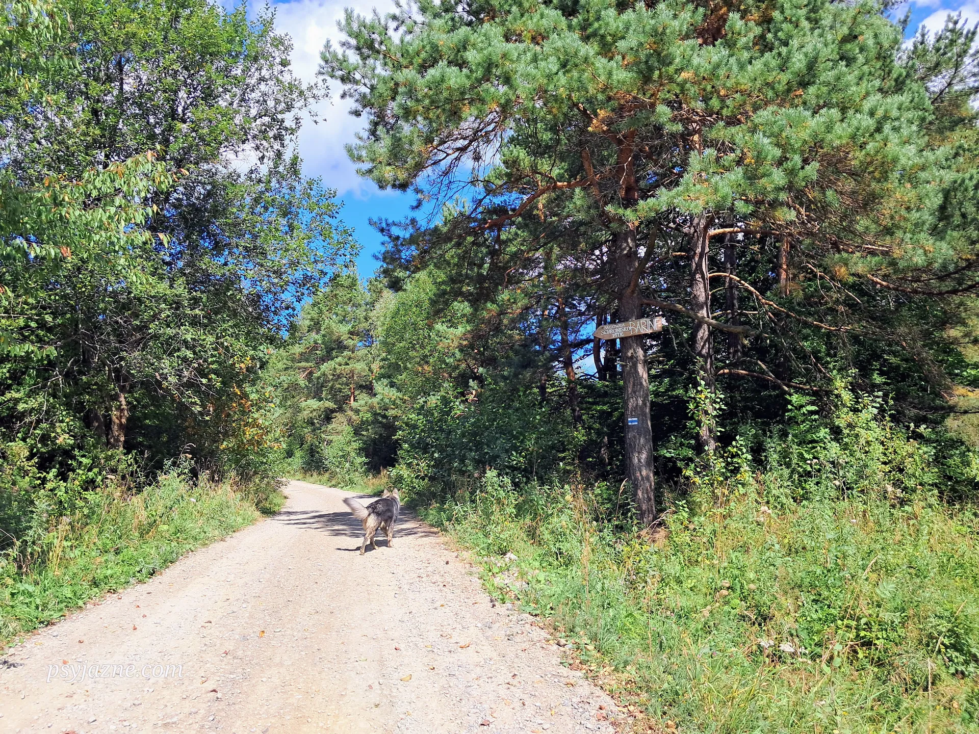 Bartne, szlak niebieski
