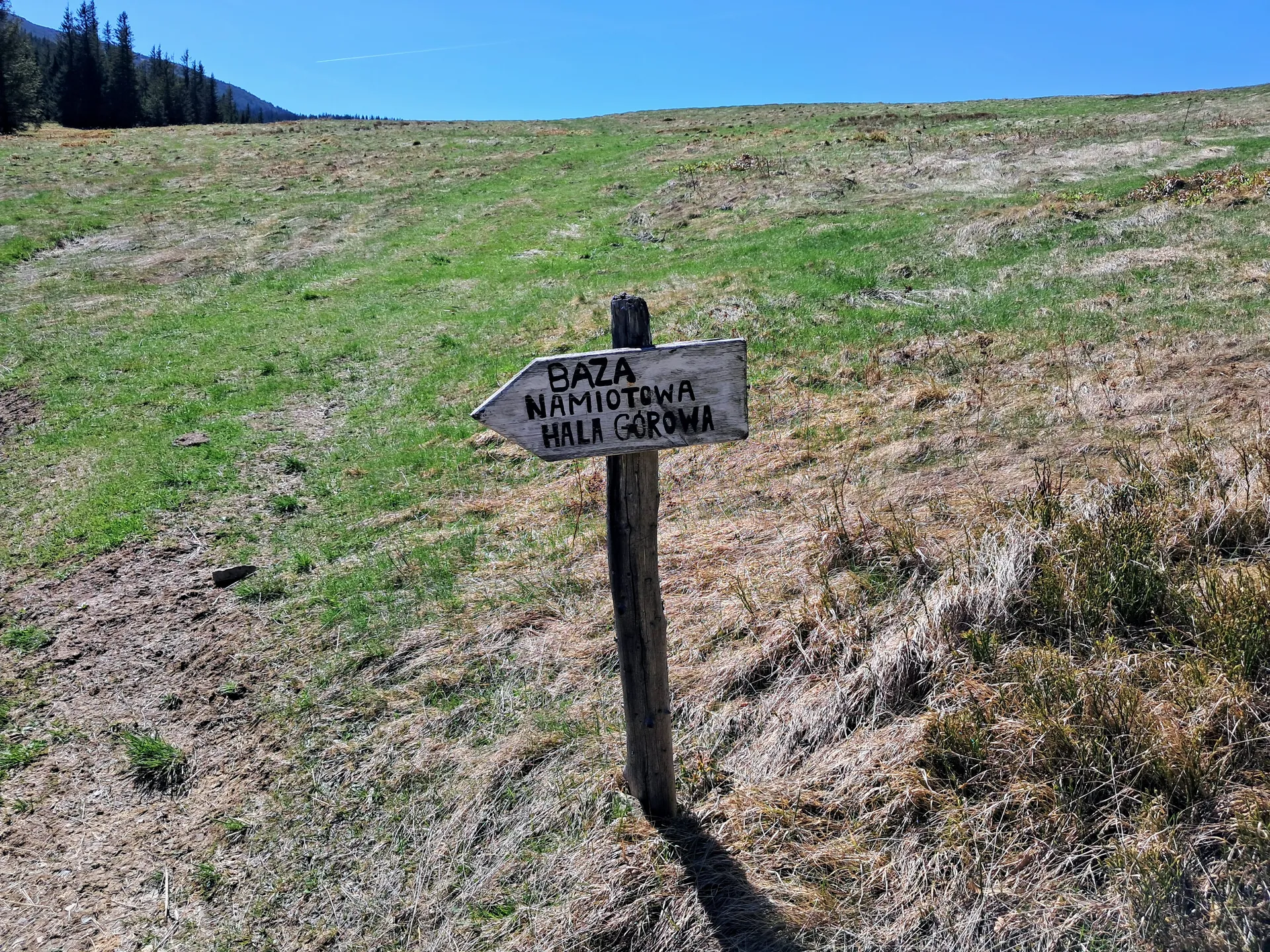 Baza namiotowa
