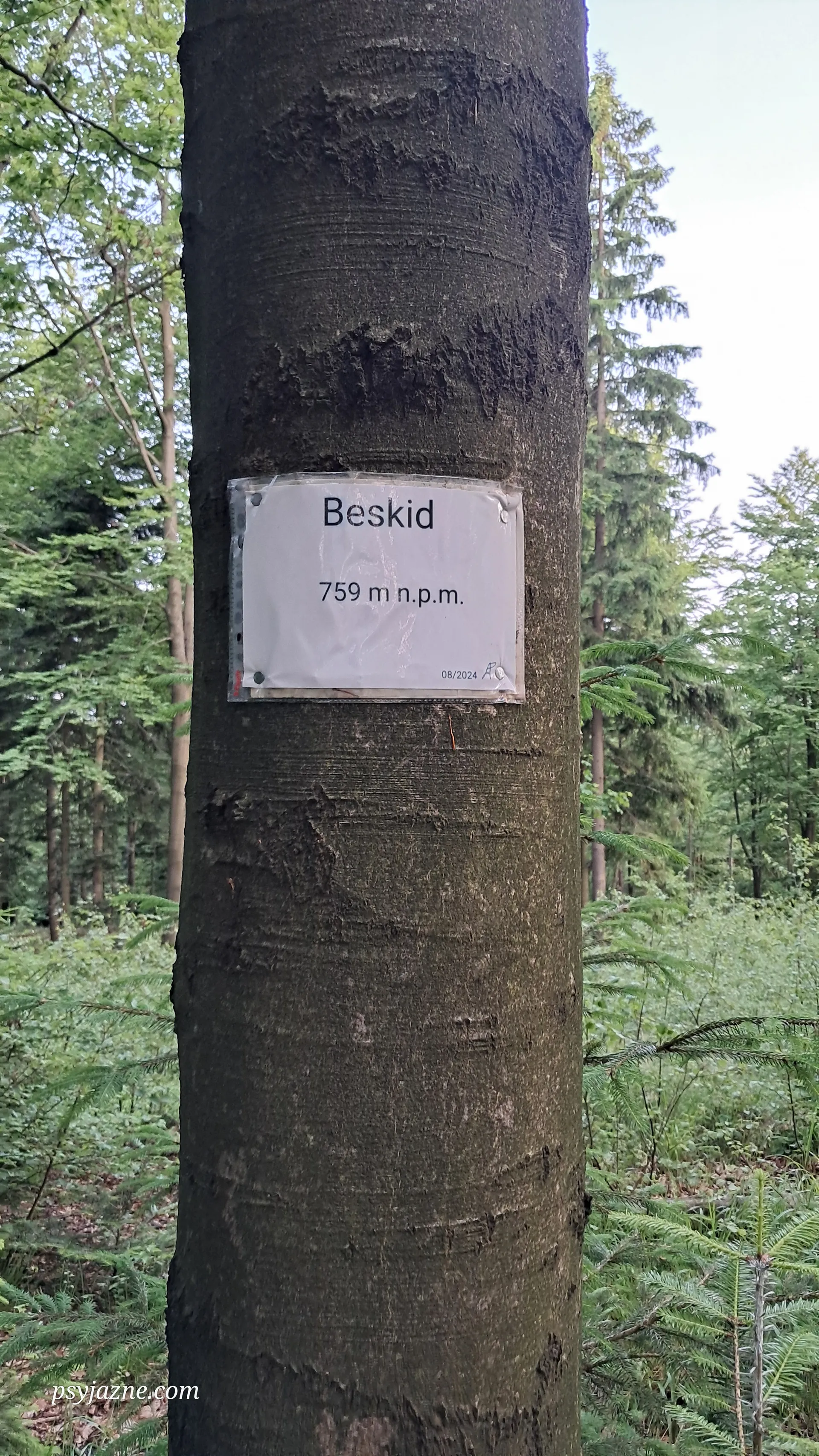 Beskid