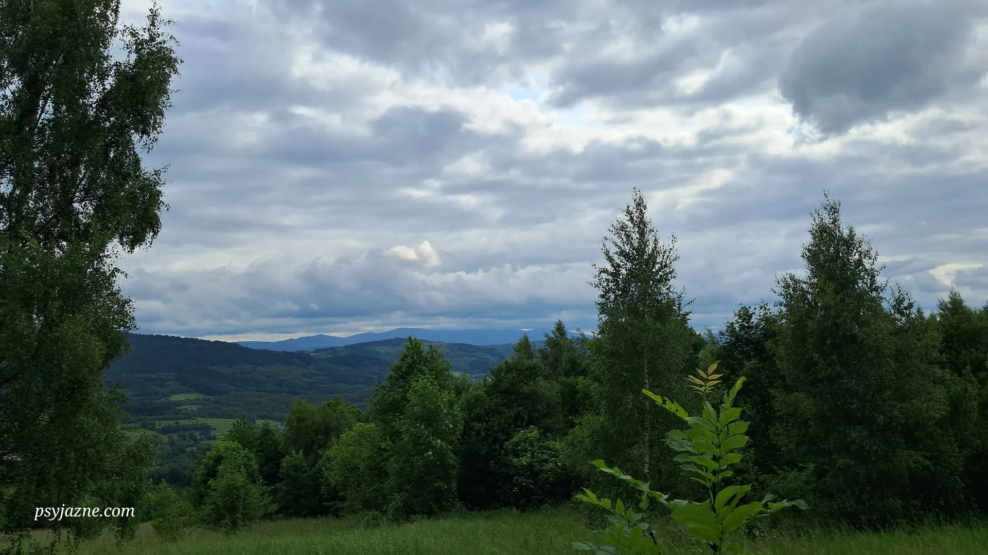 Beskid Makowski, MSB