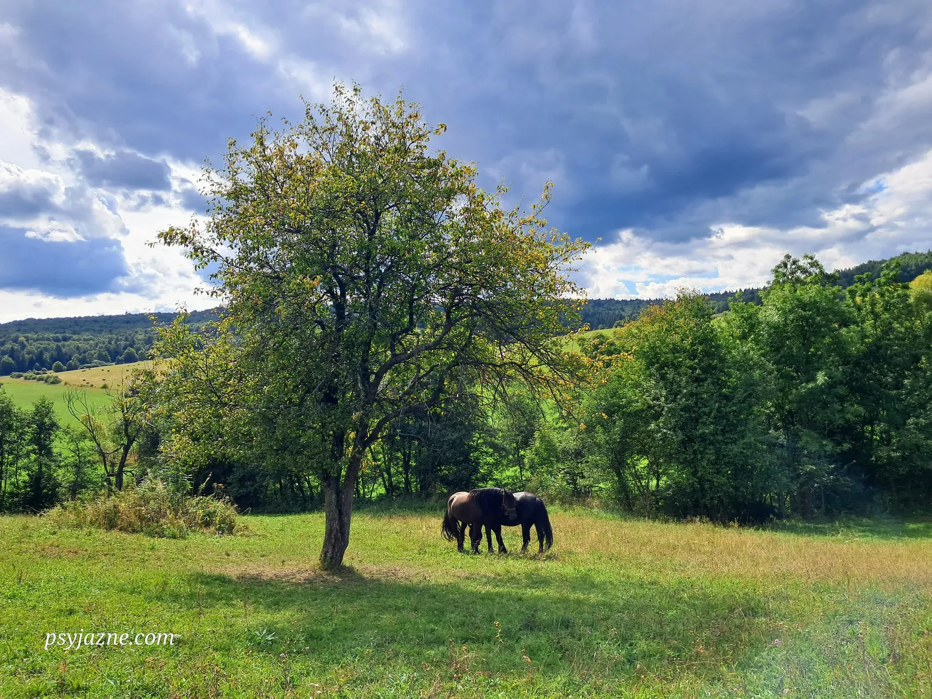 Beskid Niski