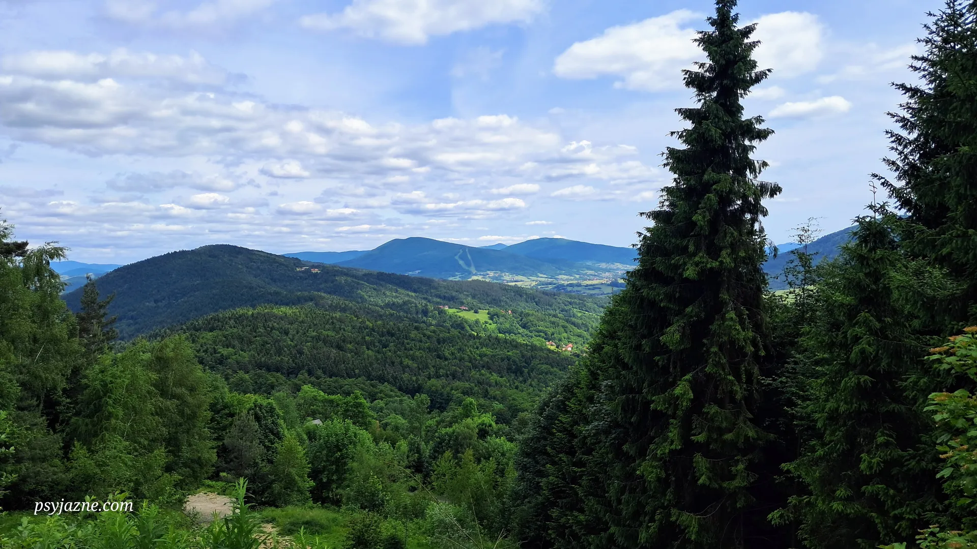 Widok na Beskid Wyspowy