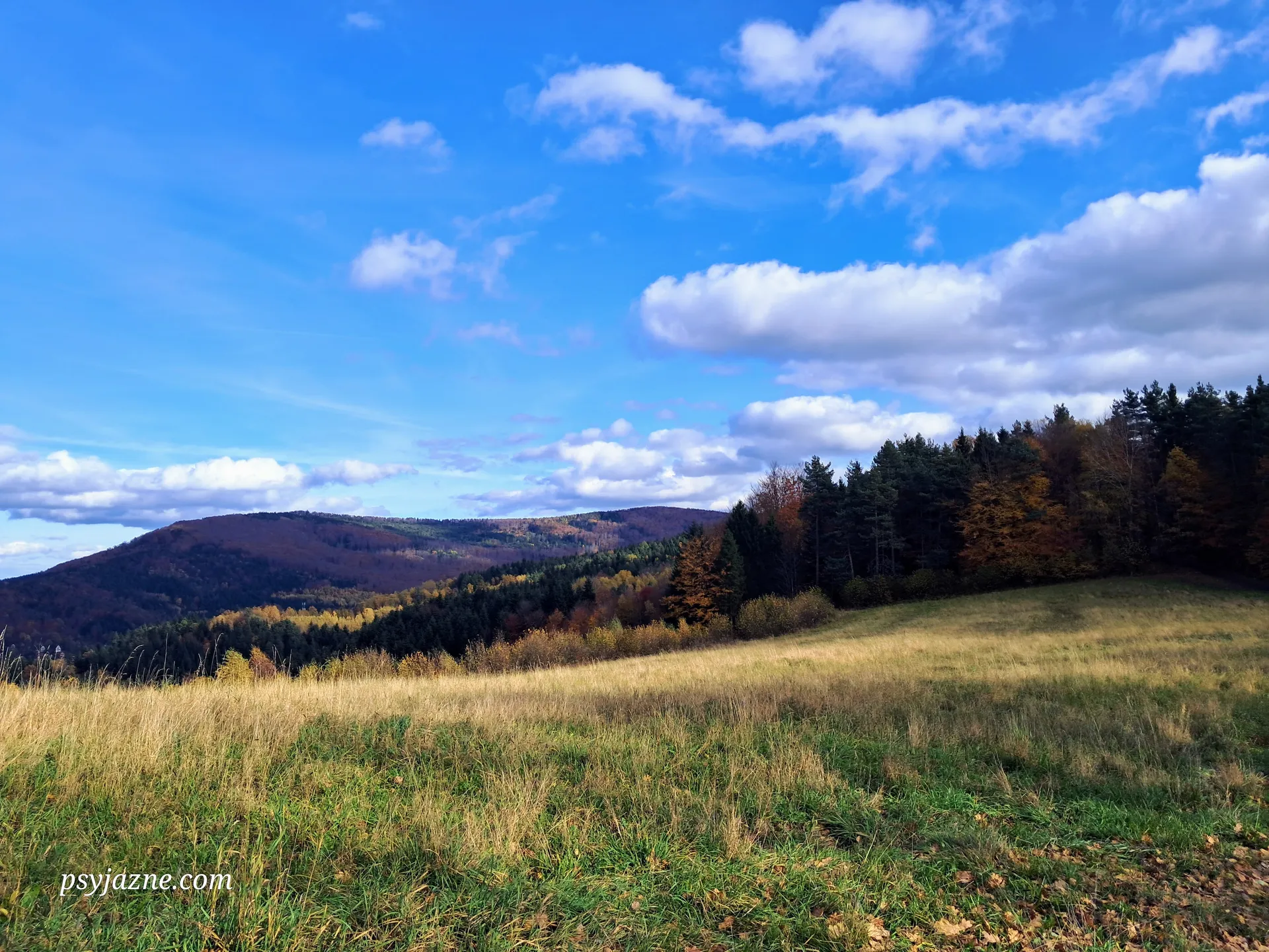W Beskidzie Wyspowym