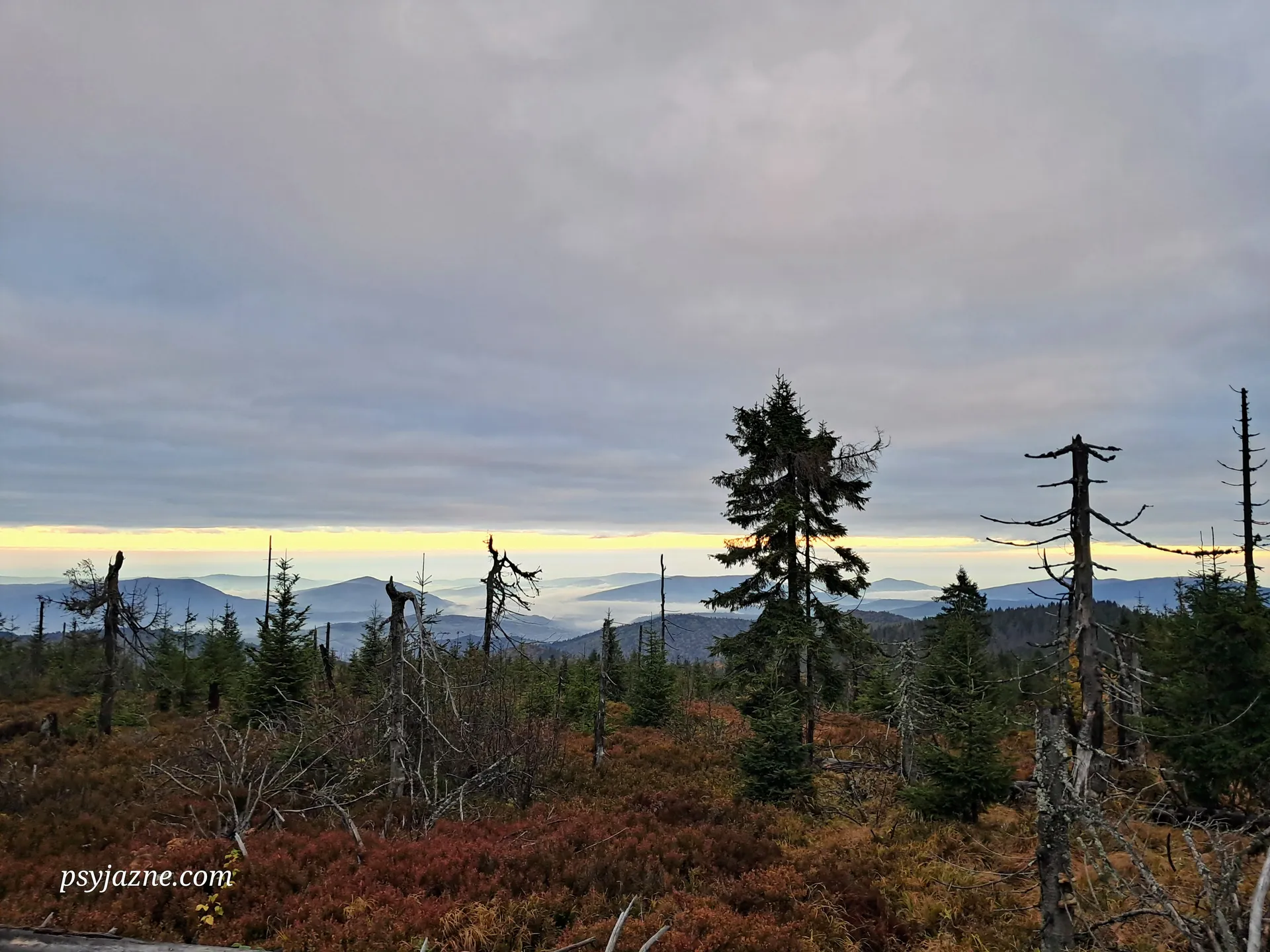 Widok z Turbacza na Beskid Wyspowy