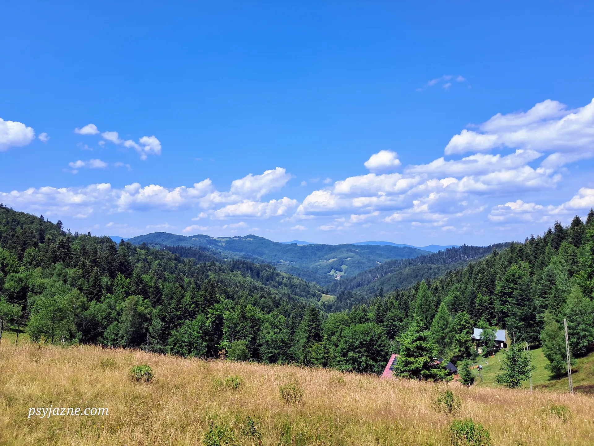 Widok na Beskid Wyspowy