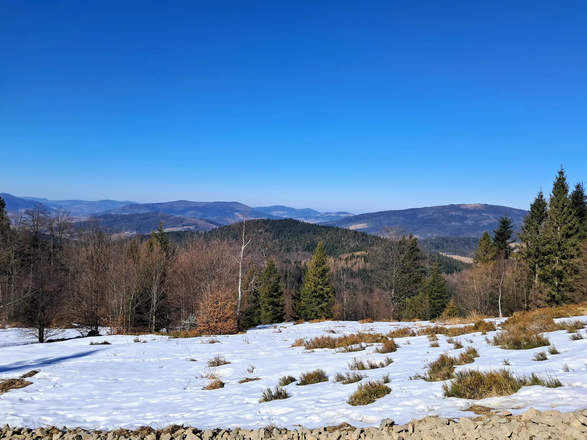Panorama Beskidu Wyspowego