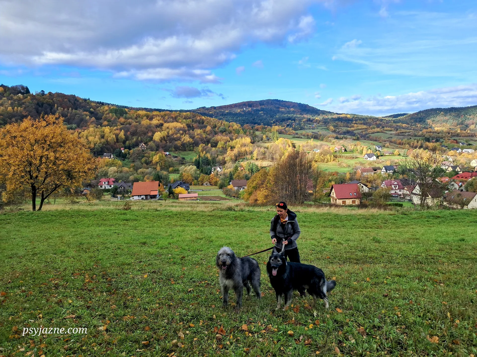 Beskid Wyspowy z psem