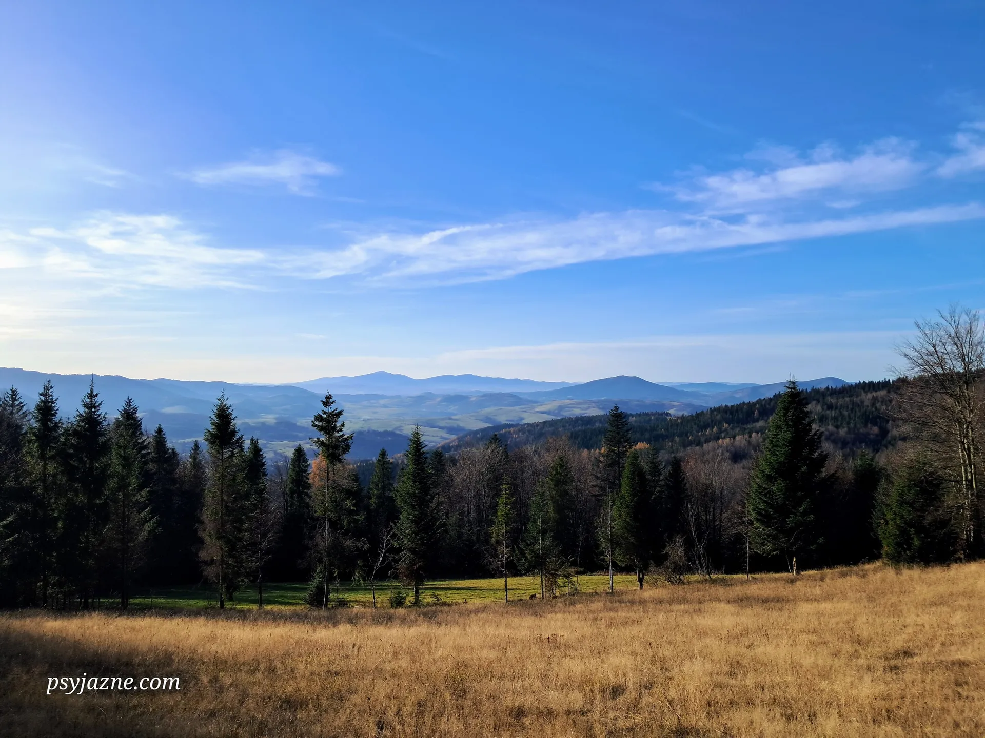Widok na Beskid Wyspowy i Żywiecki