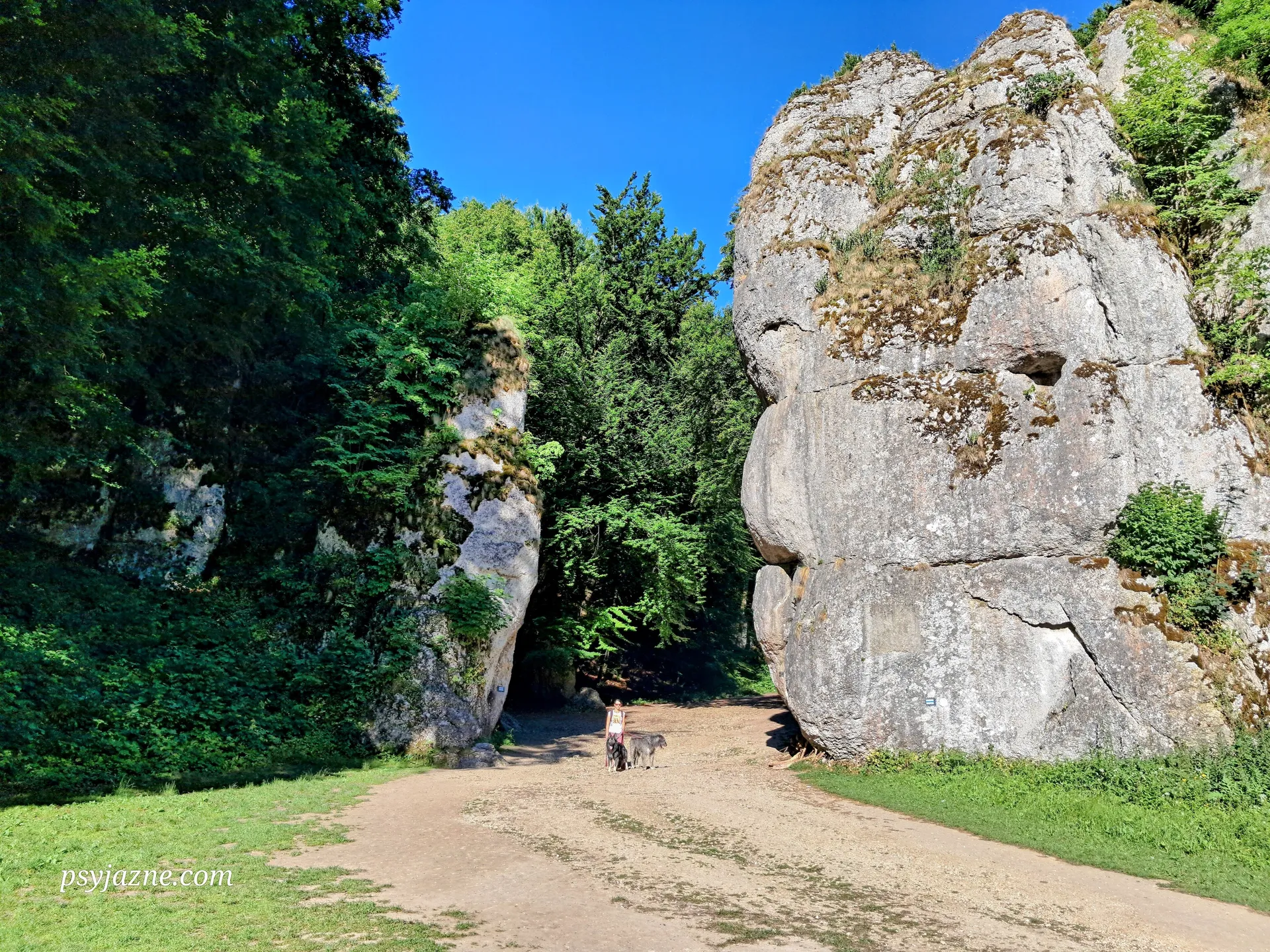 Brama Krakowska, Ojcowski Park Narodowy