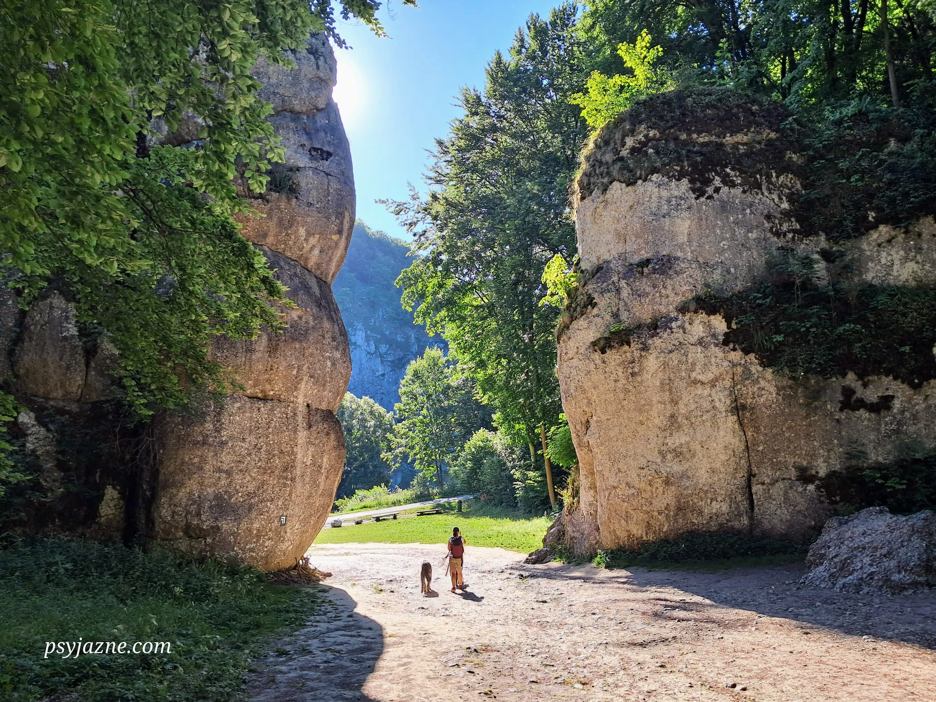 Brama Krakowska, Ojcowski Park Narodowy