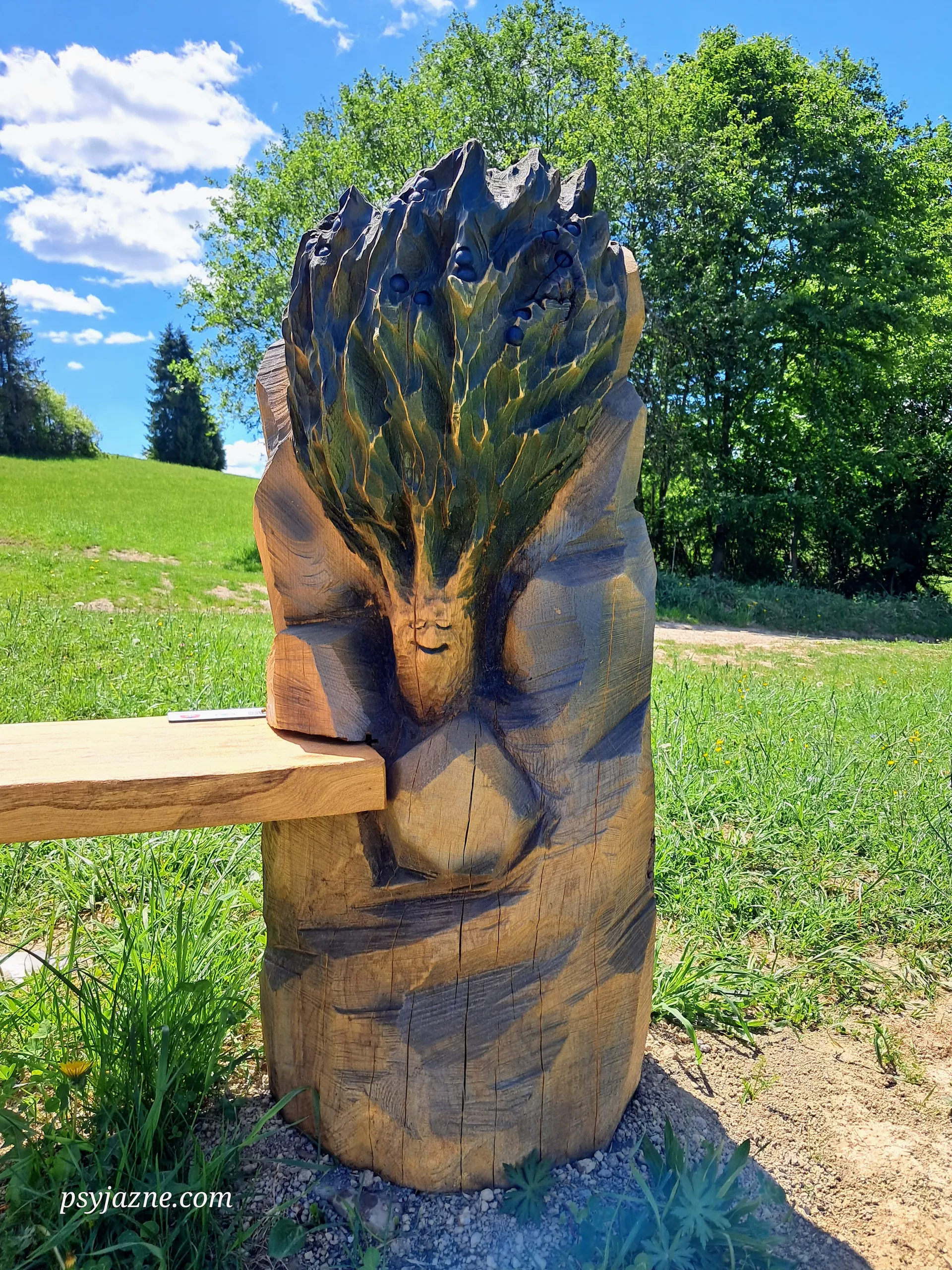 Brokuł