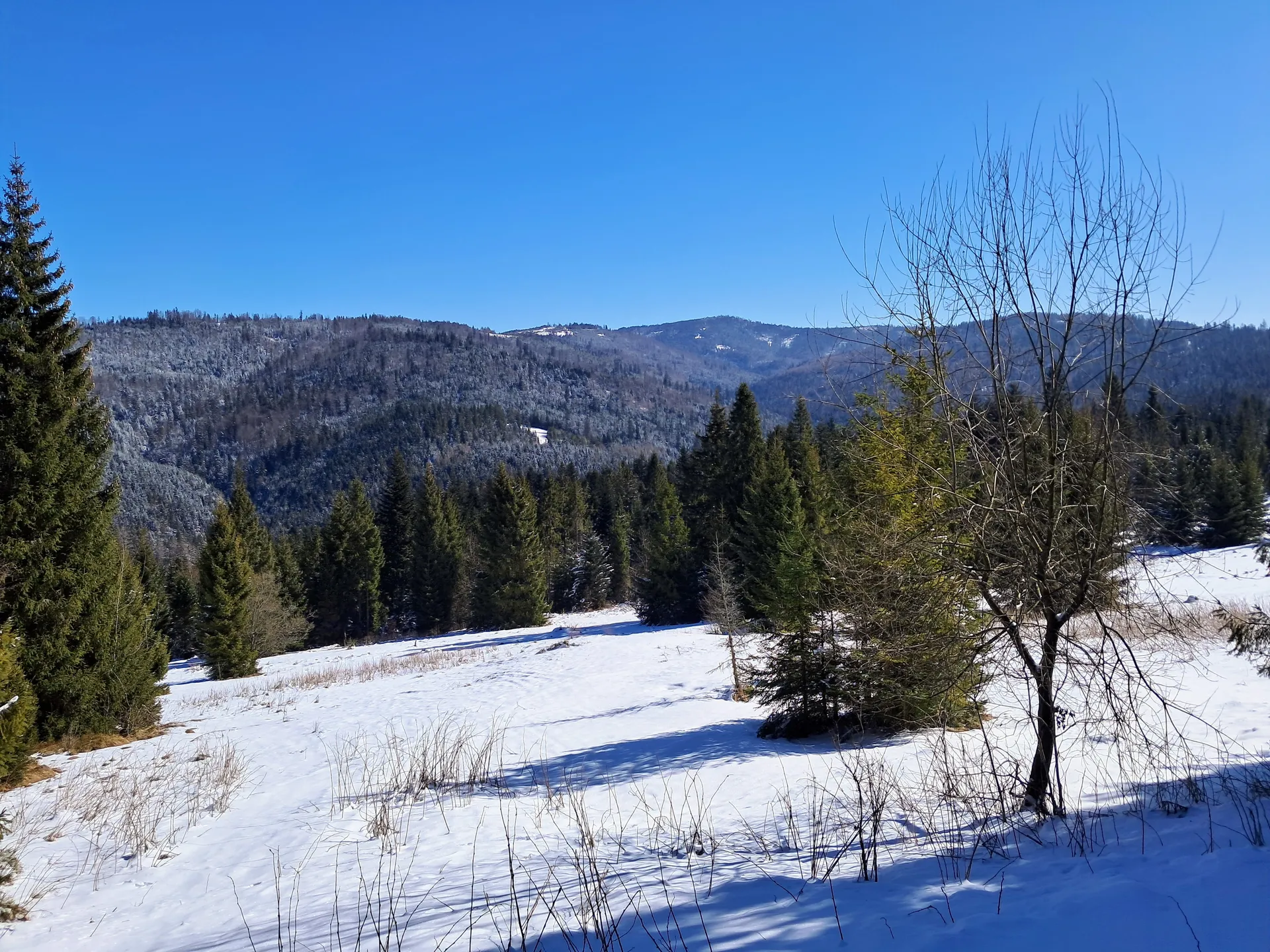 Widok z Bukowiny Obidowskiej