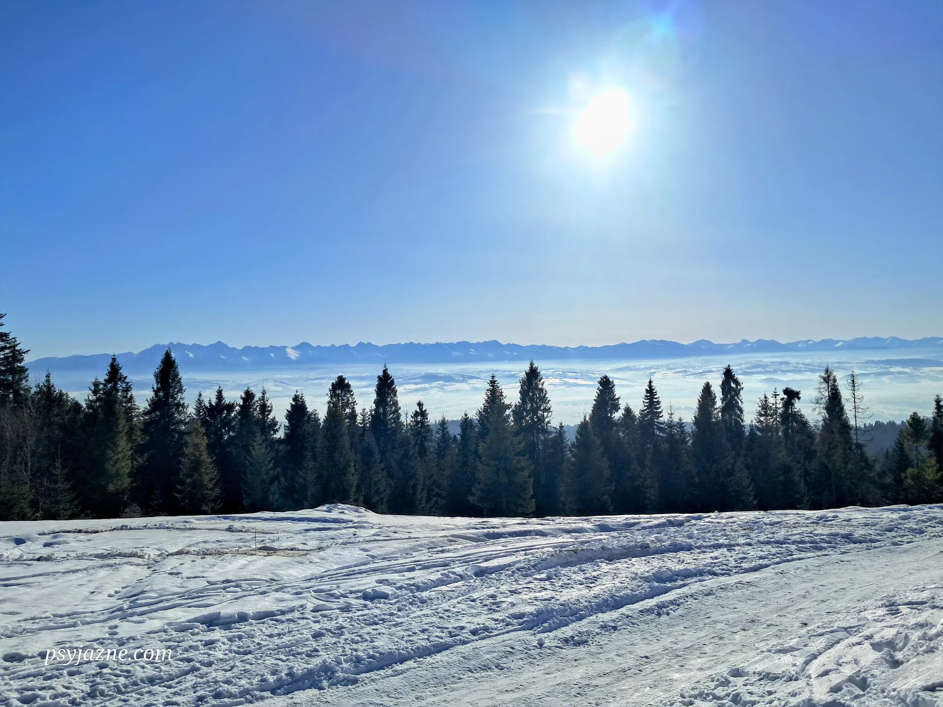 Widok na tatry z Bukowiny Waksmundzkiej