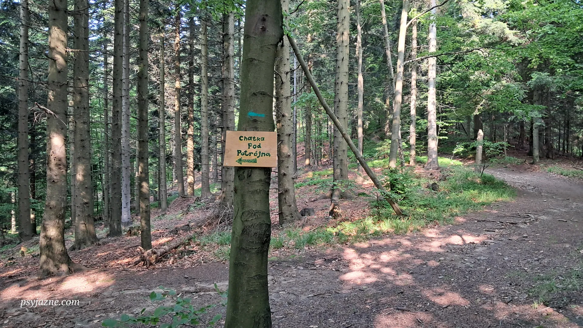 Chatka pod Potrójną