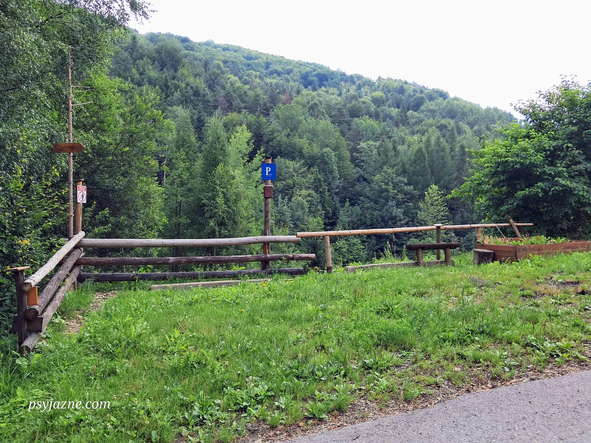 Parking cisy Raciborskiego
