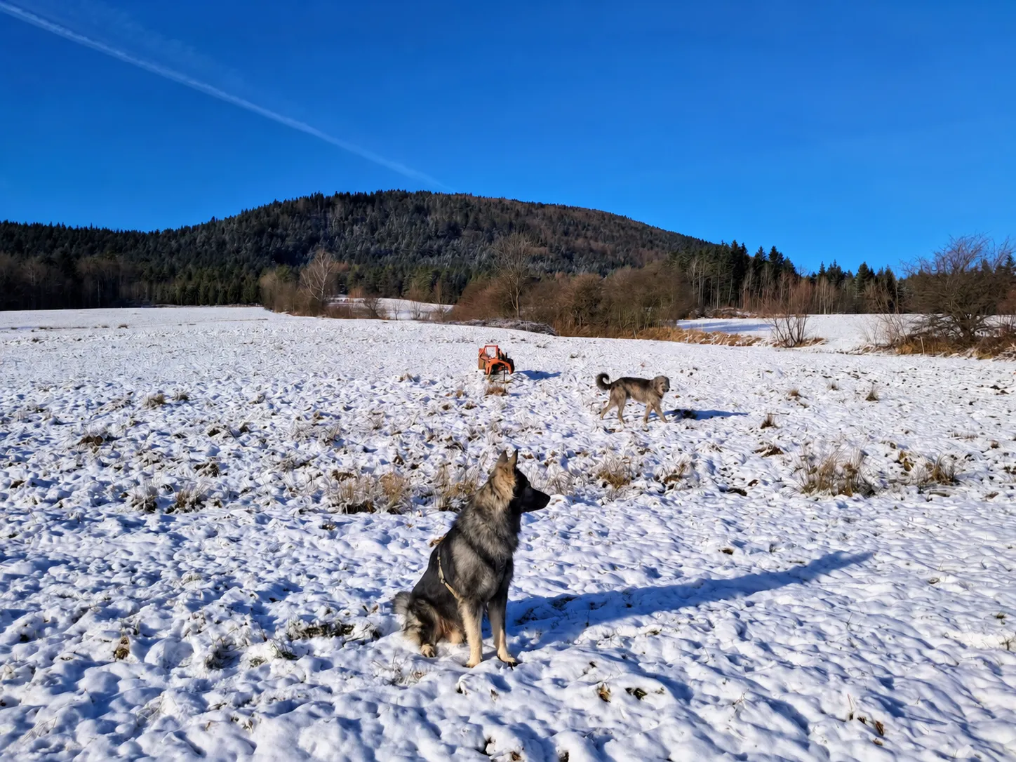Ćwilin, widok z Jurkowa