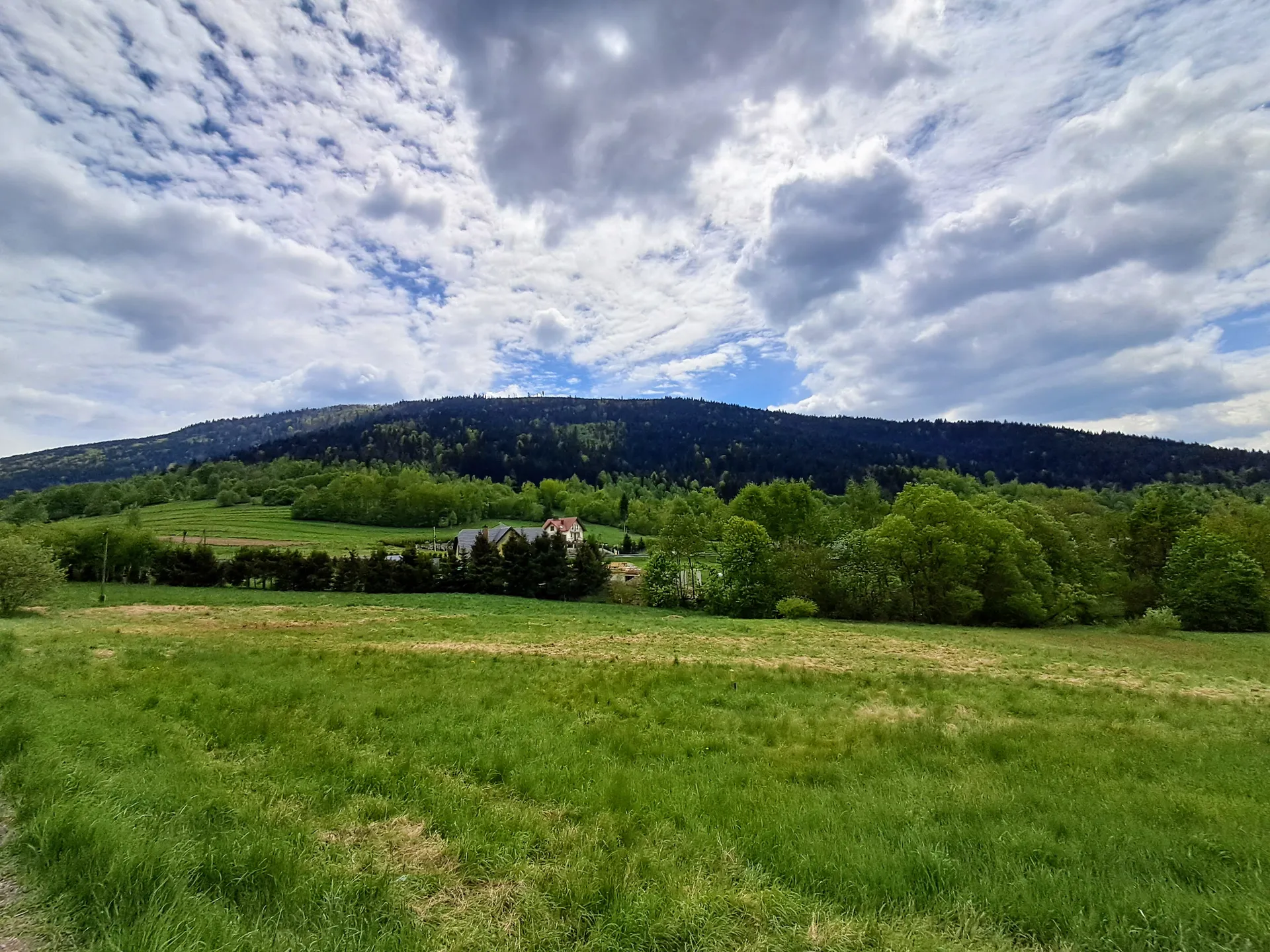 Widok na Ćwilin z Gruszowca