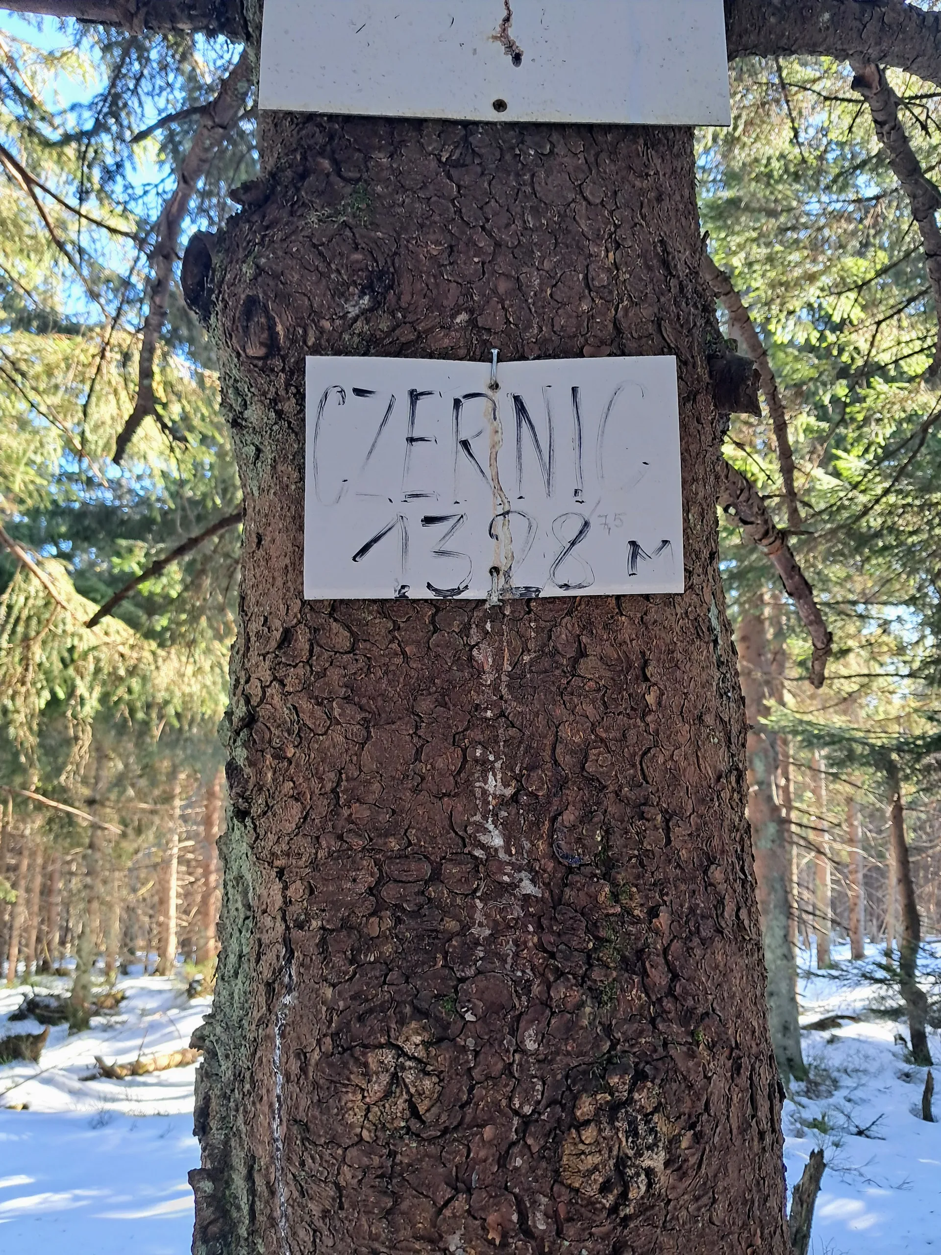 Czernic