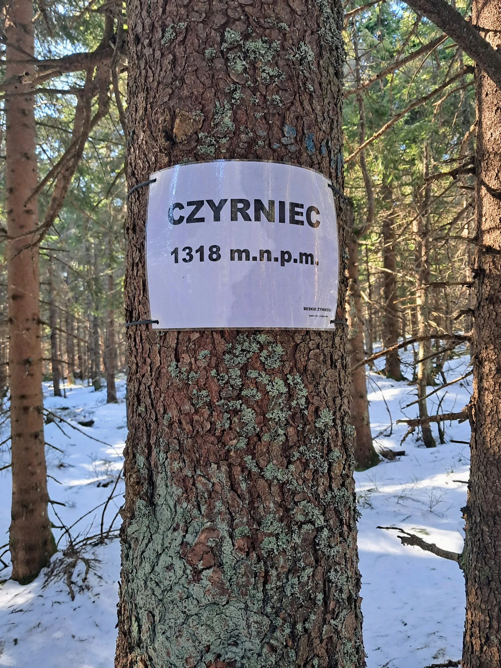 Czyrniec