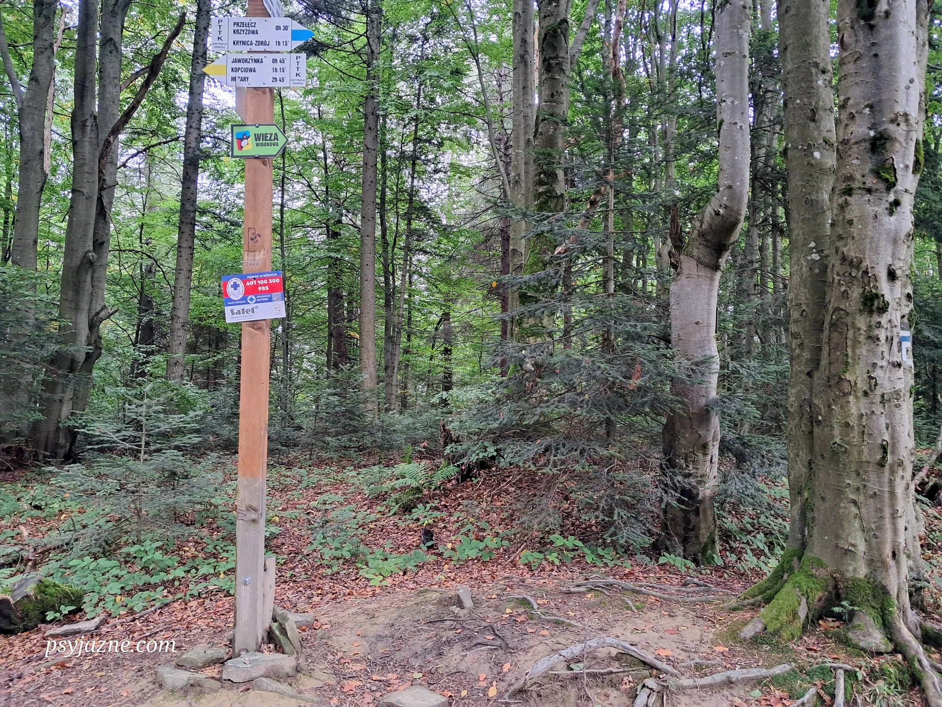 Drabiakówka, Beskid Sądecki