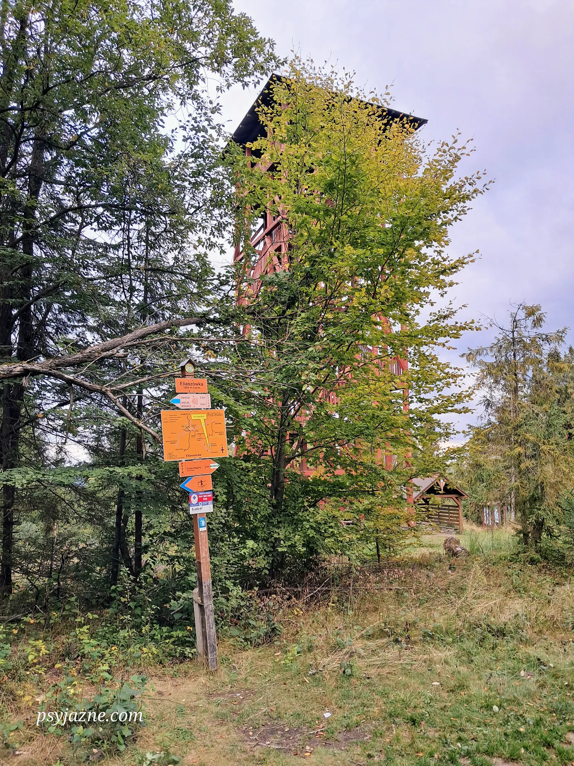 Wieża widokowa na Eliaszówce