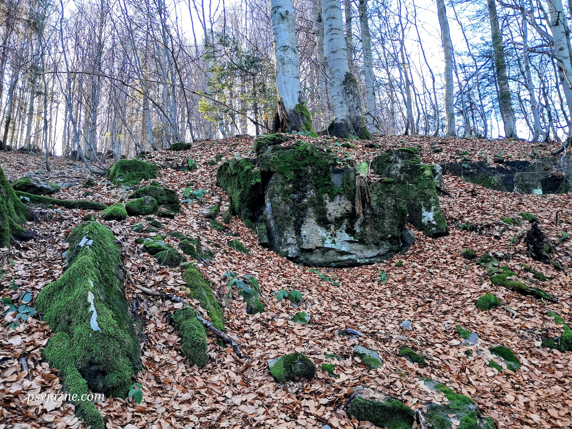 Formy skalne