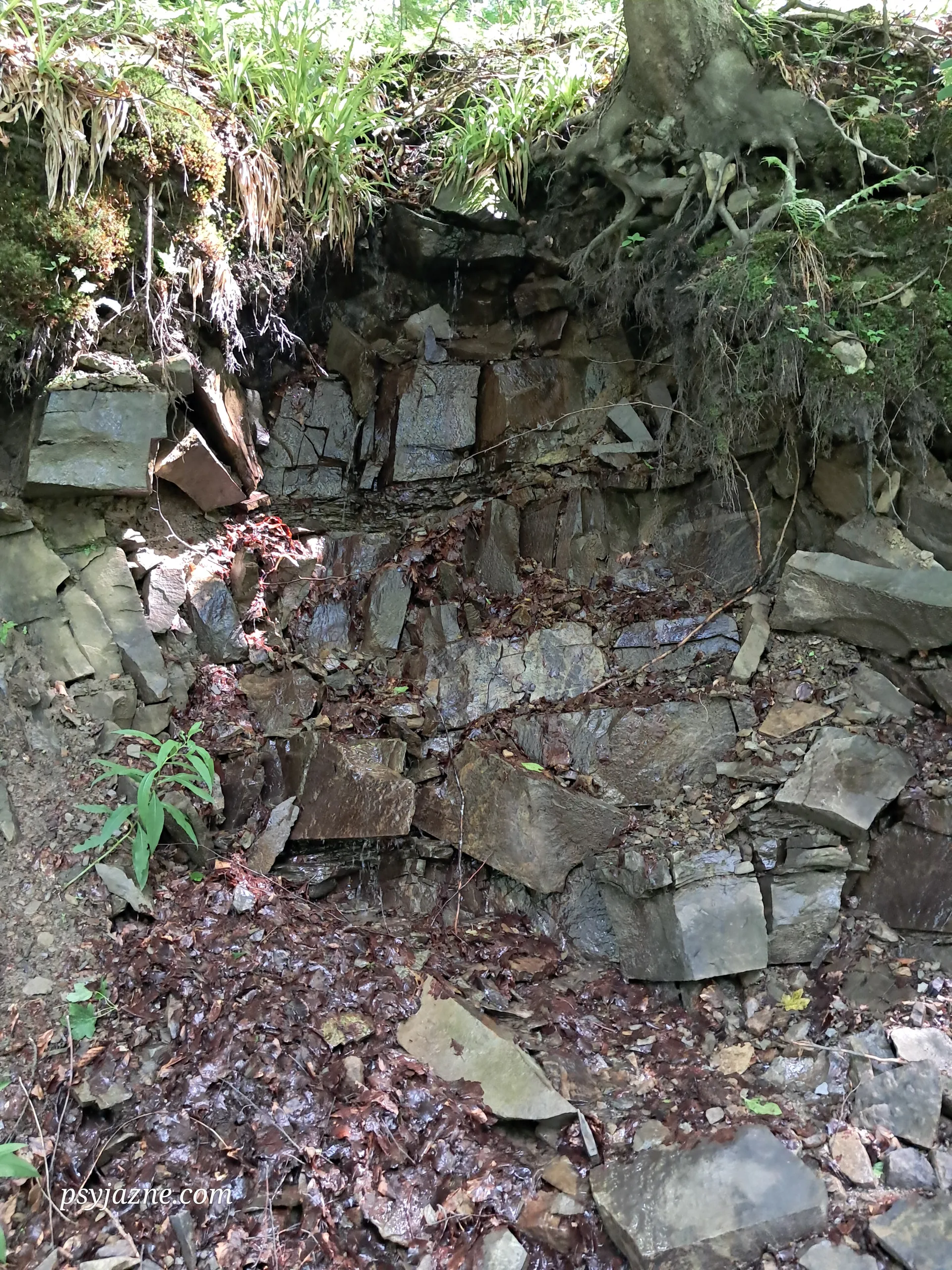Geologia na szlaku