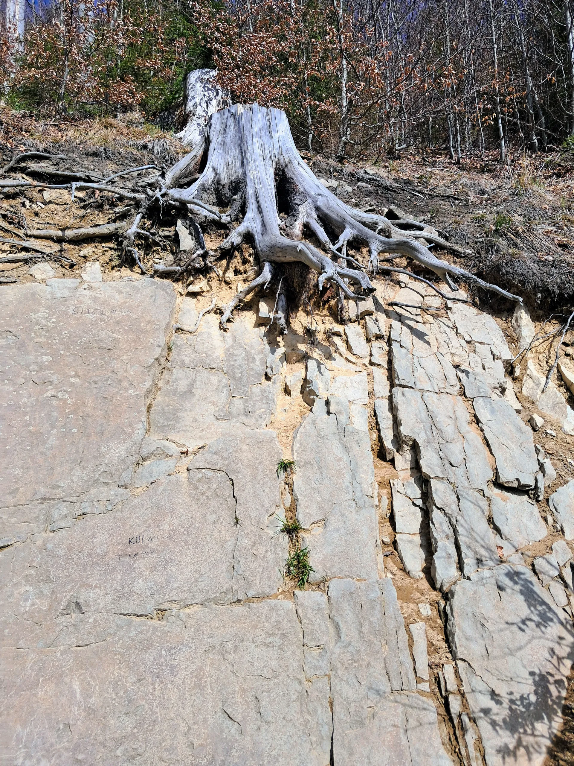 Geologia na szlaku