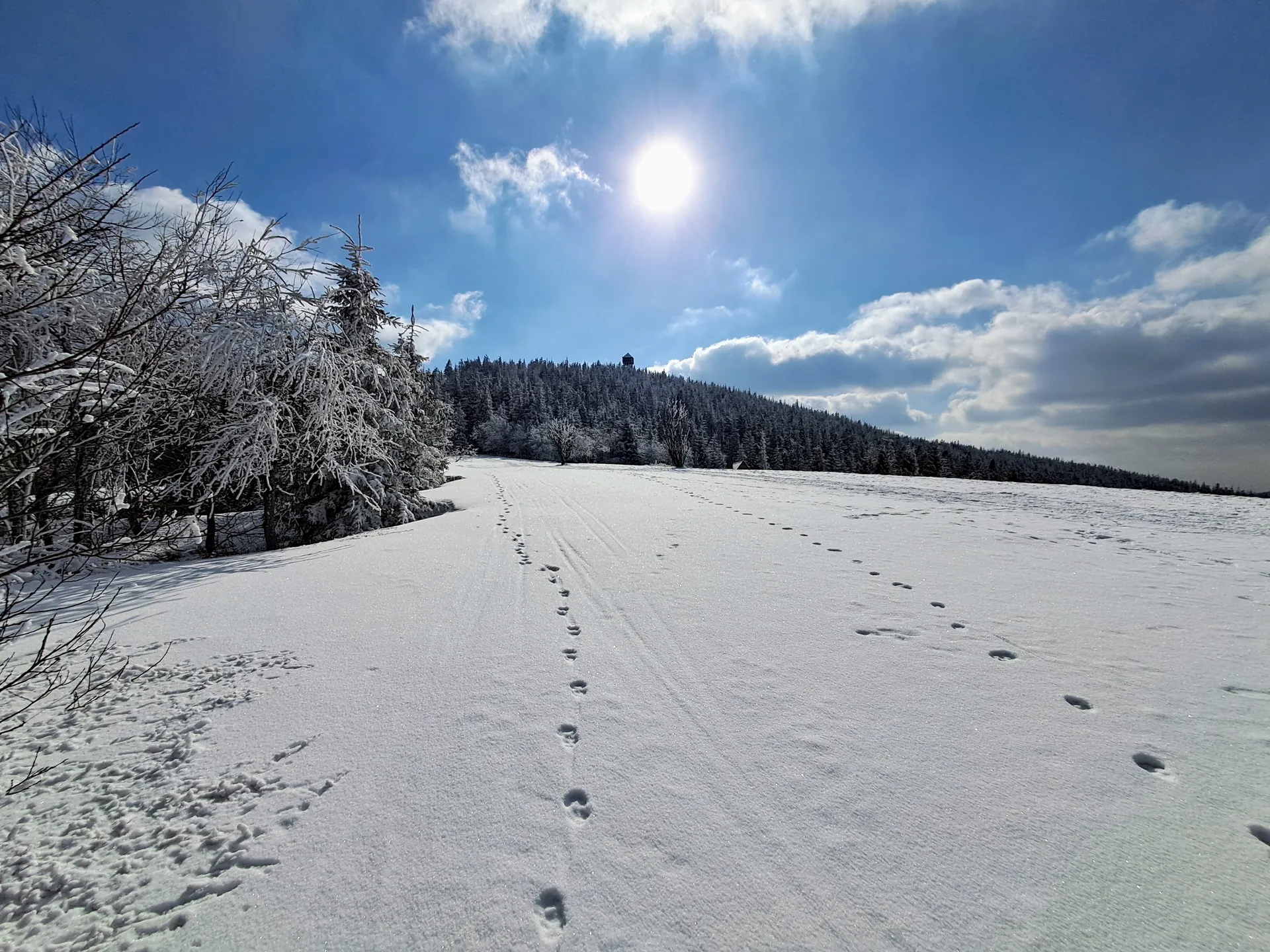 Widok na Gorc z Gorca Kamienickiego