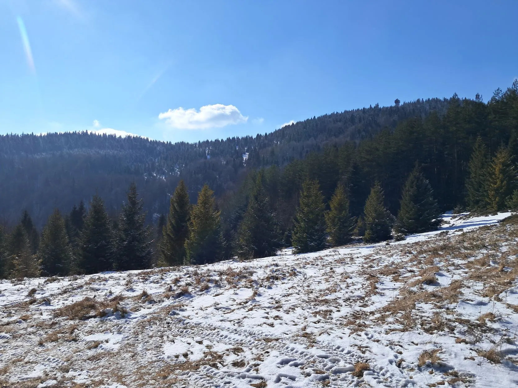 Gorc - Zasadne, czerwony szlak