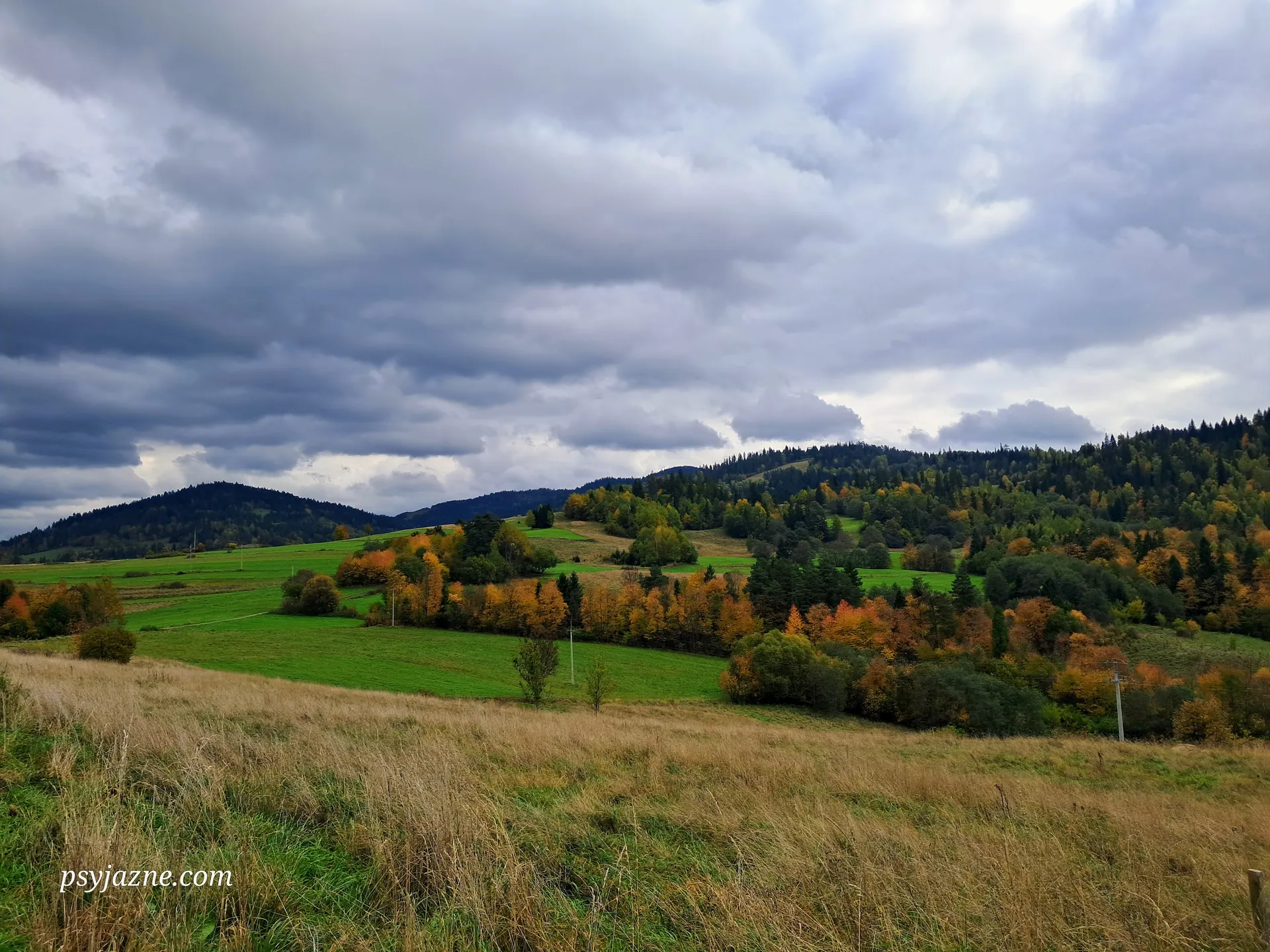 Widok na Gorce
