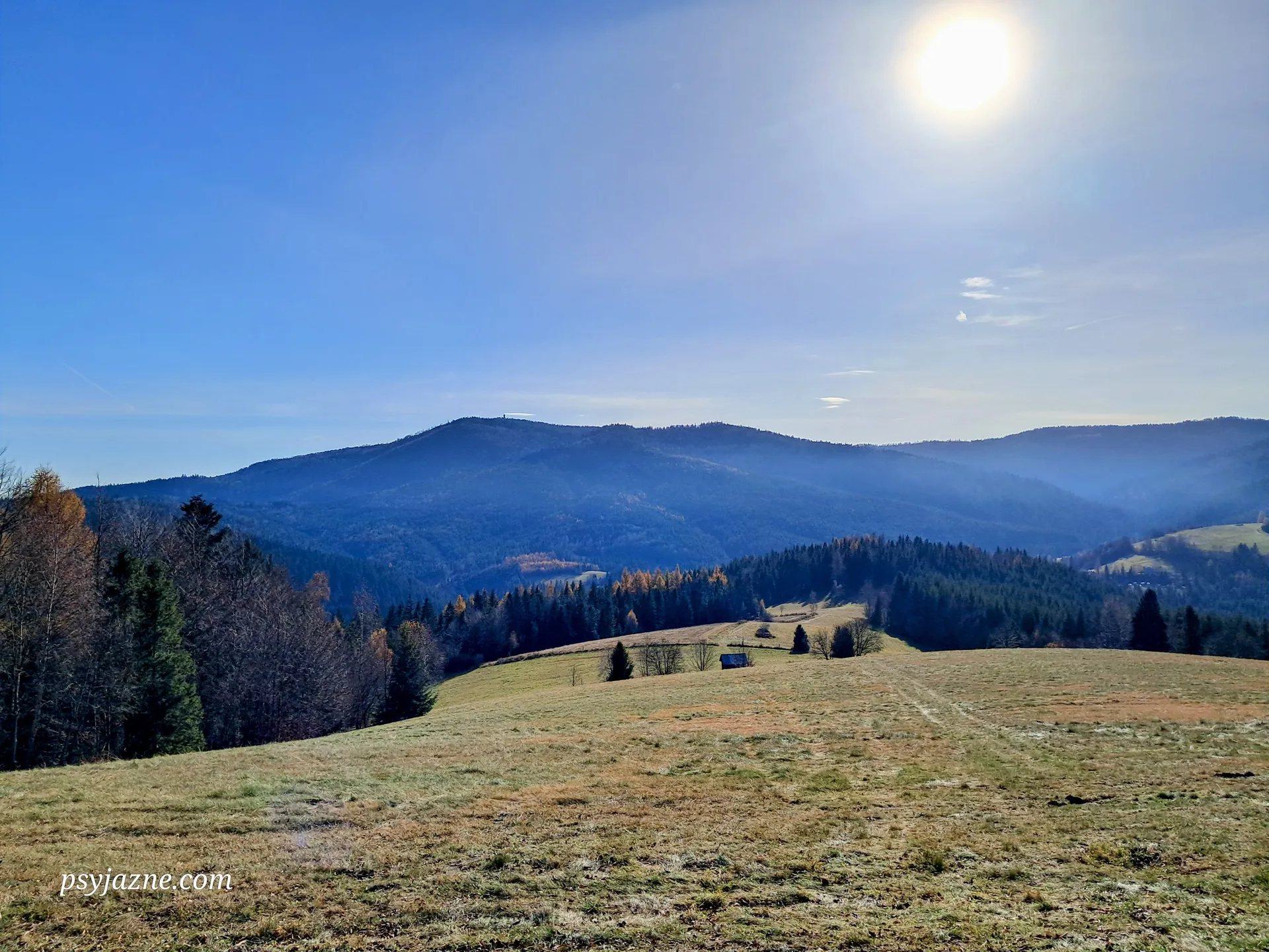 Widok na Gorce z polany pod Myszycą