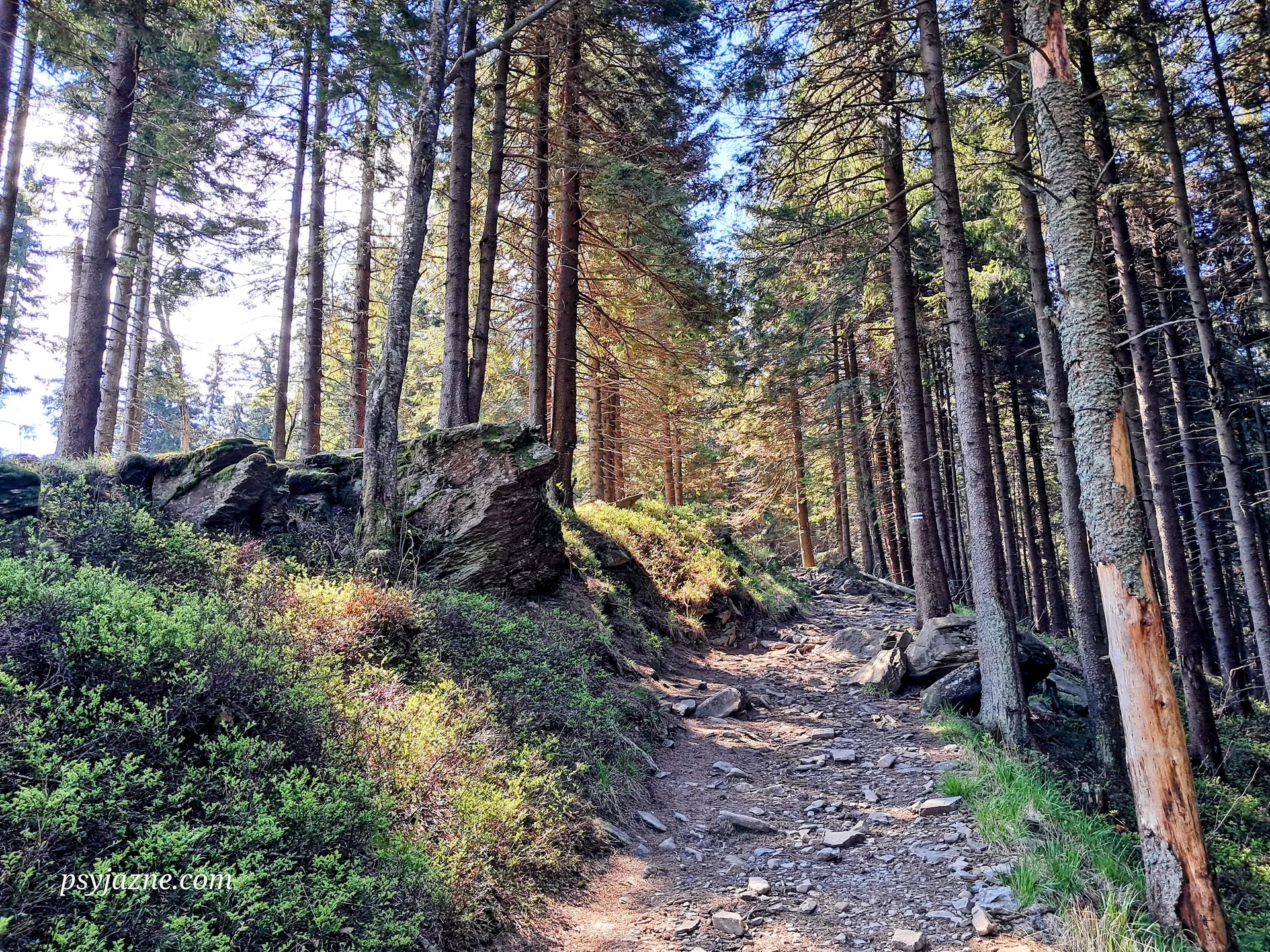 Górowa Skała, Beskid Żywiecki