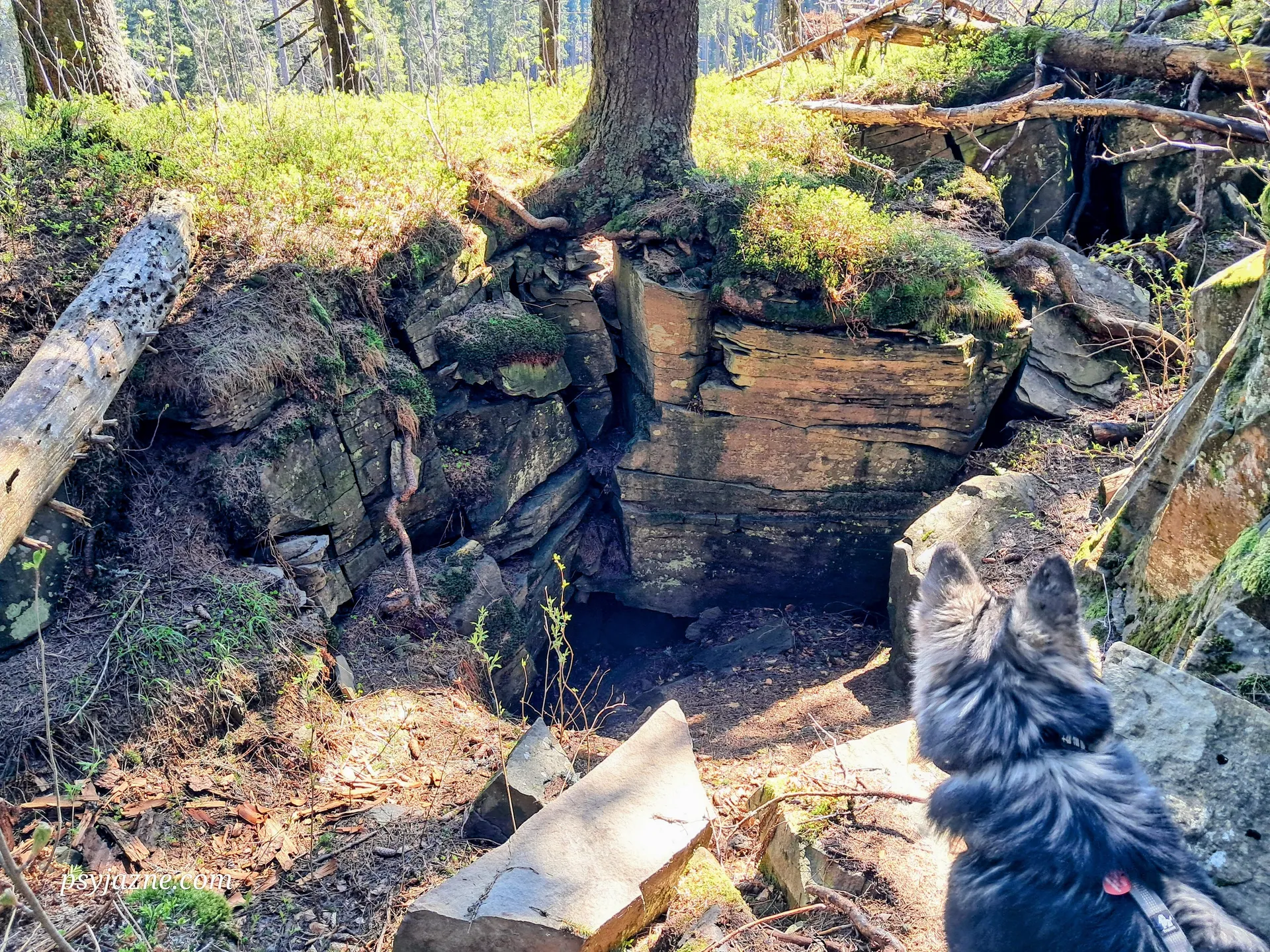 Górowa Skała, Beskid Żywiecki