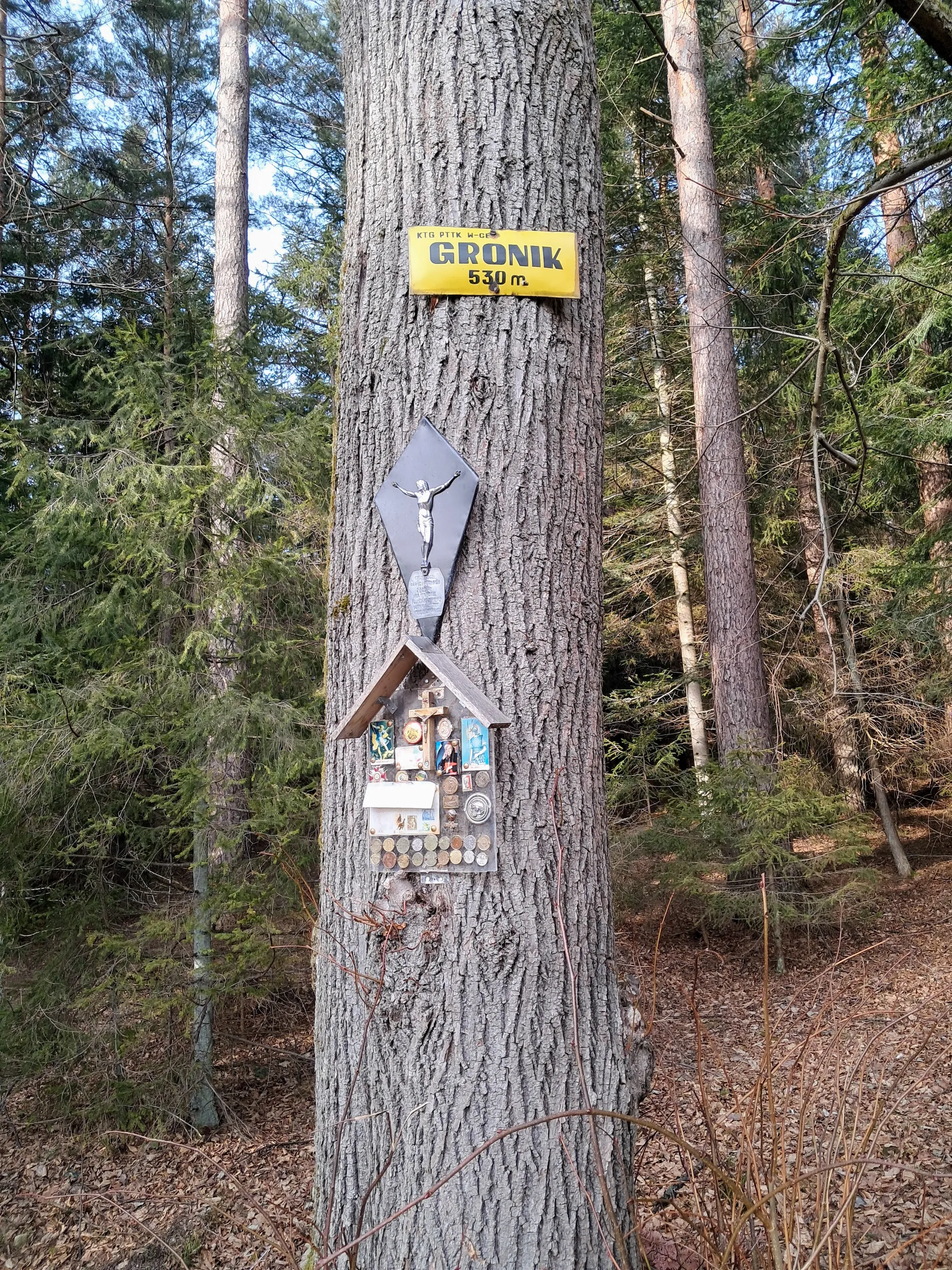 Gronik szczyt