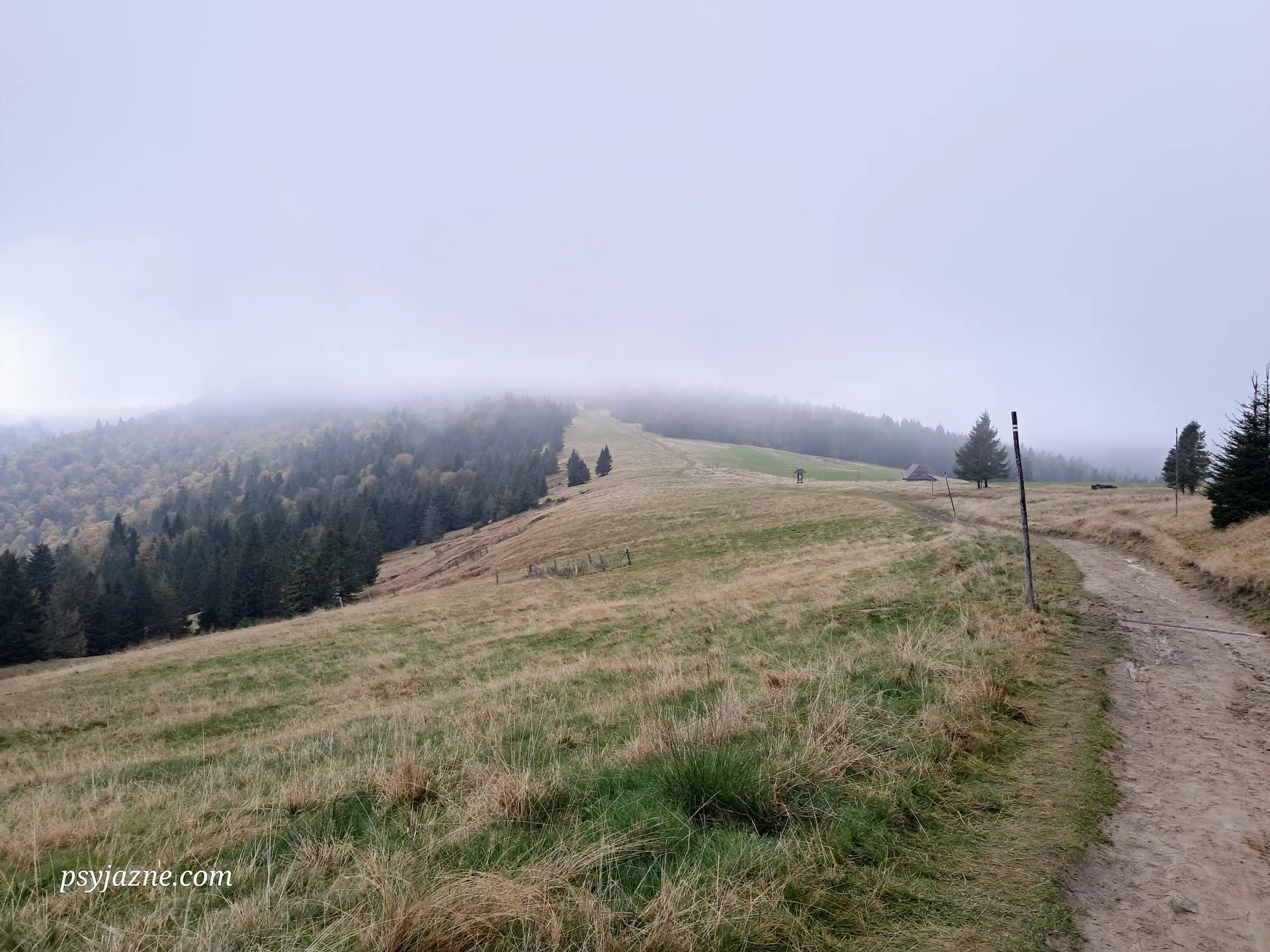 Hala Długa, Gorce