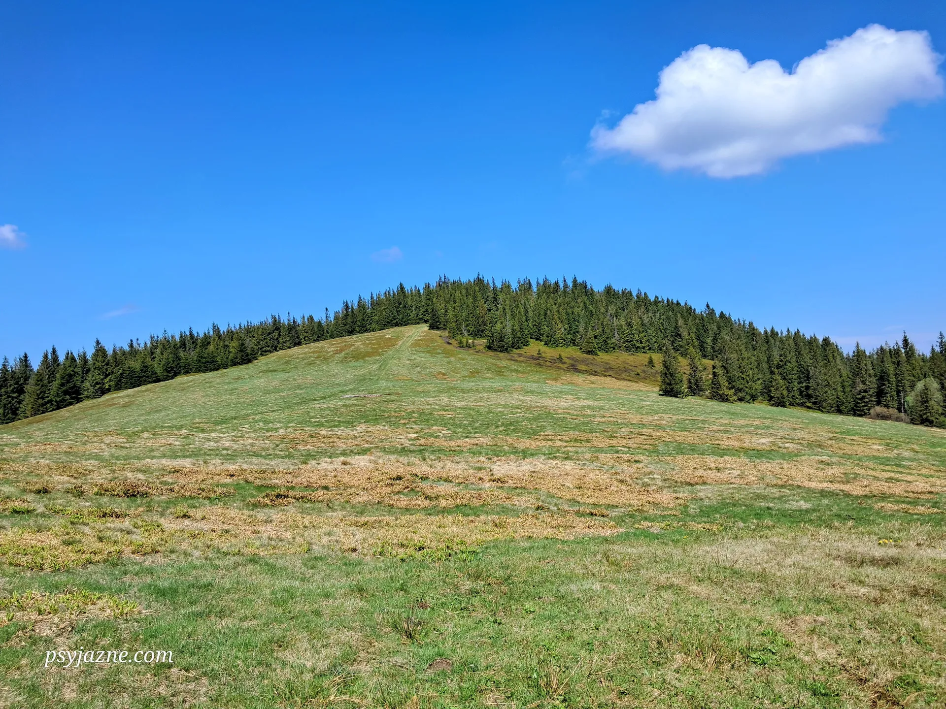 Hala Jodłowcowa