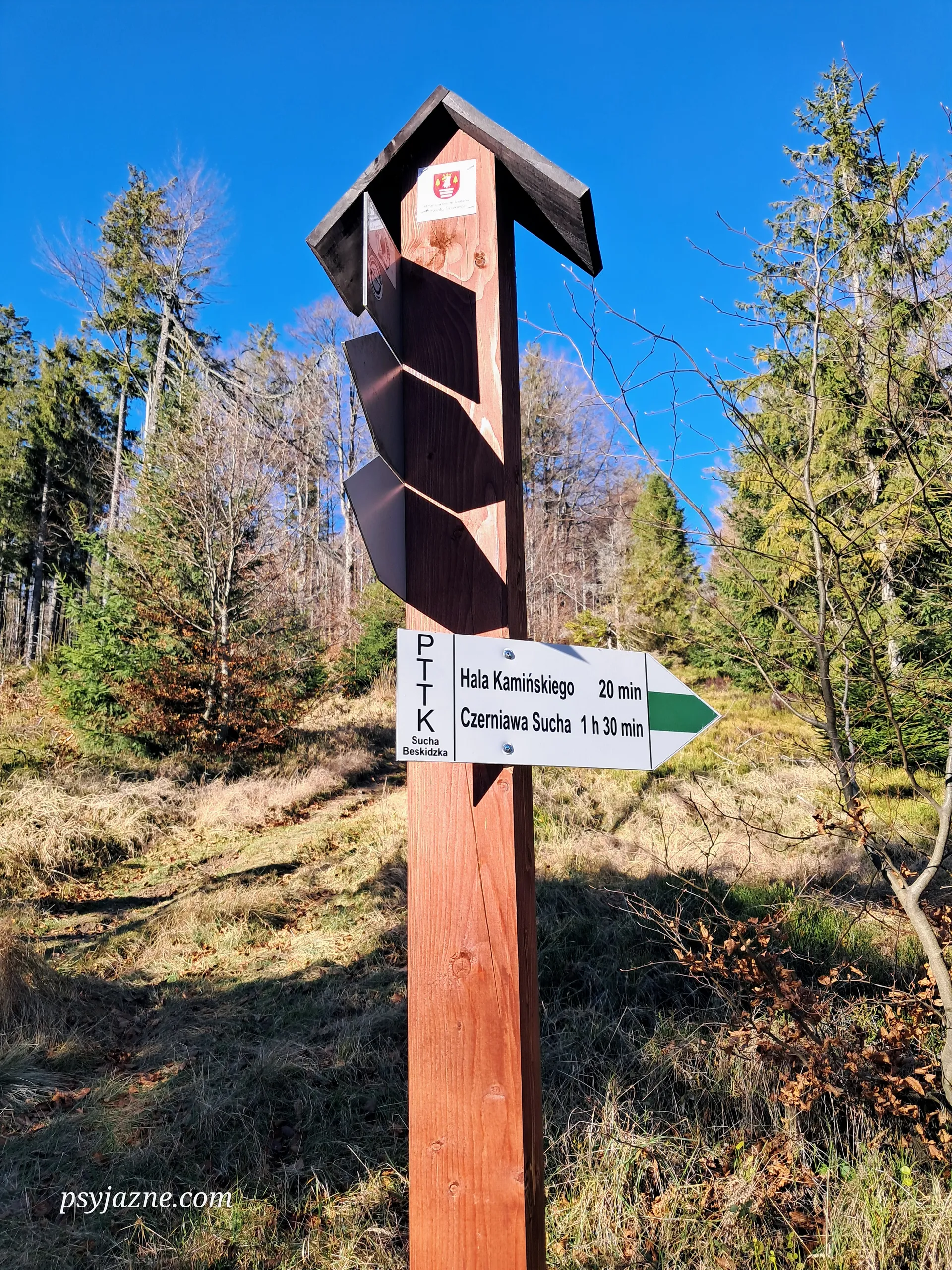 Hala Kamińskiego, szlak zielony