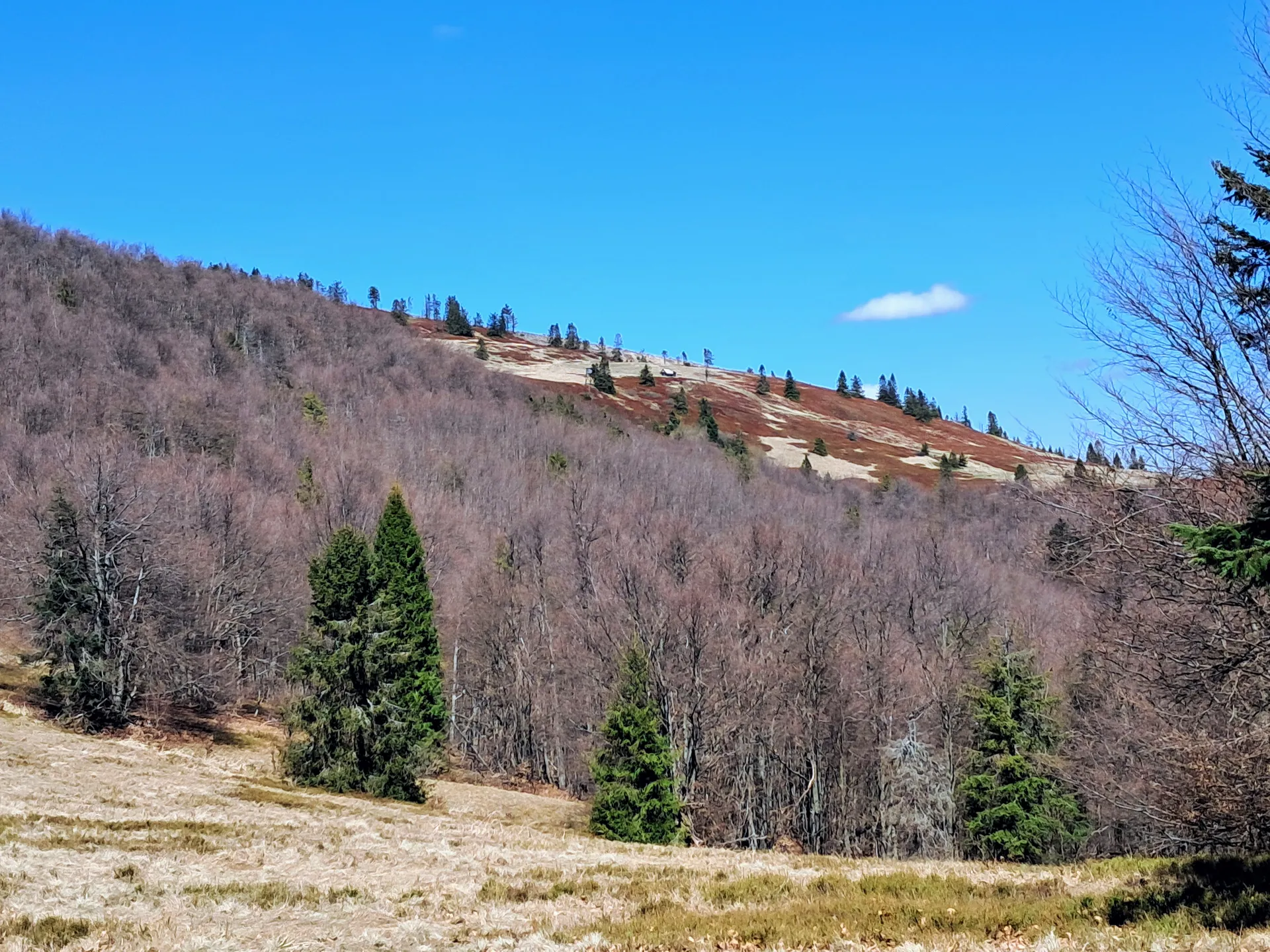 Hala Mała Racza
