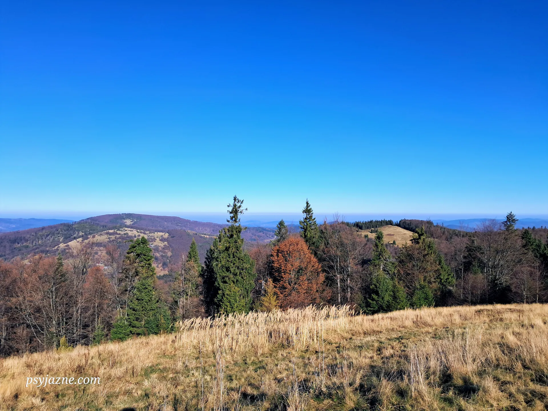 Widok z Hali Mędralowej