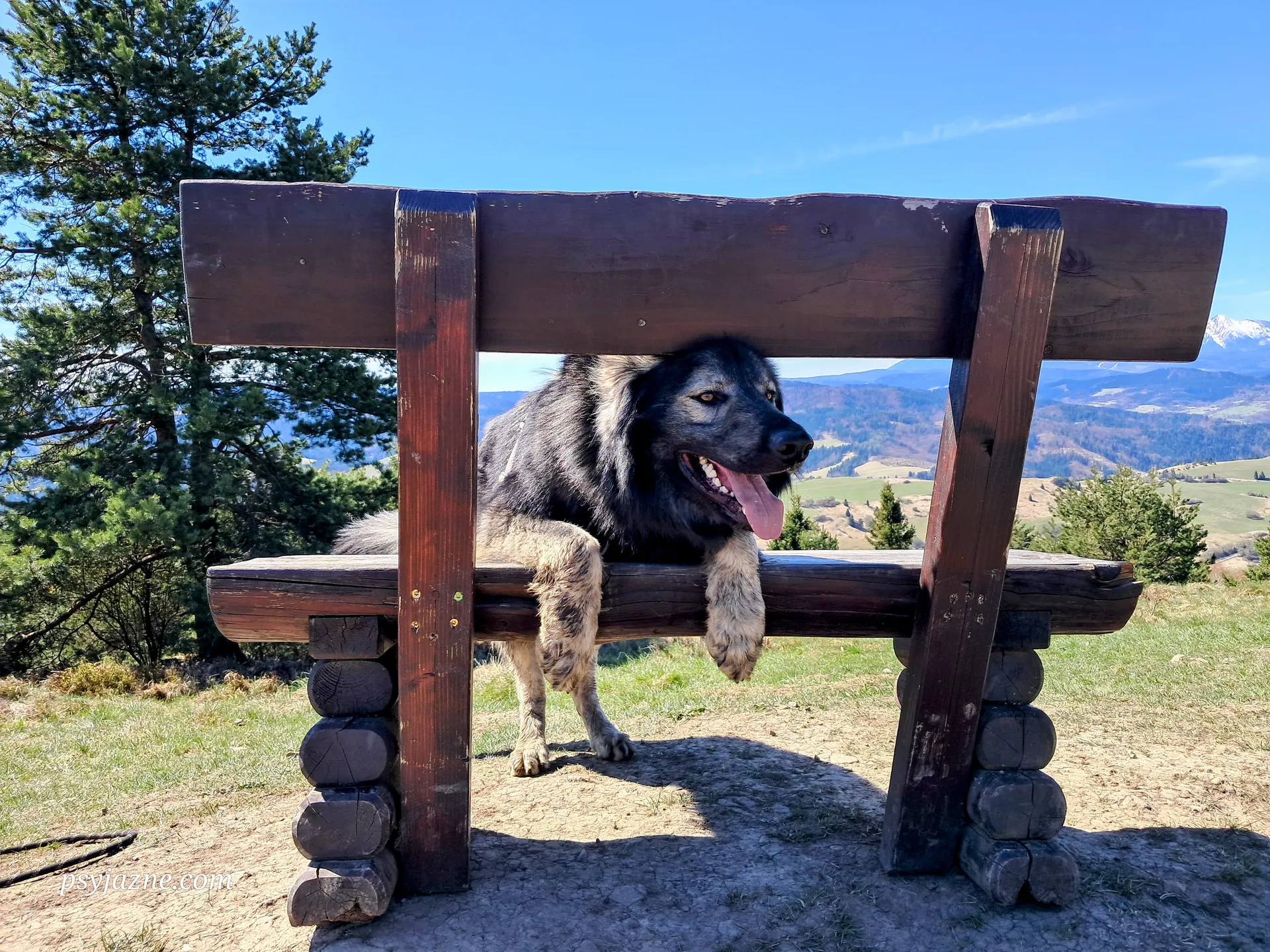 Hugo