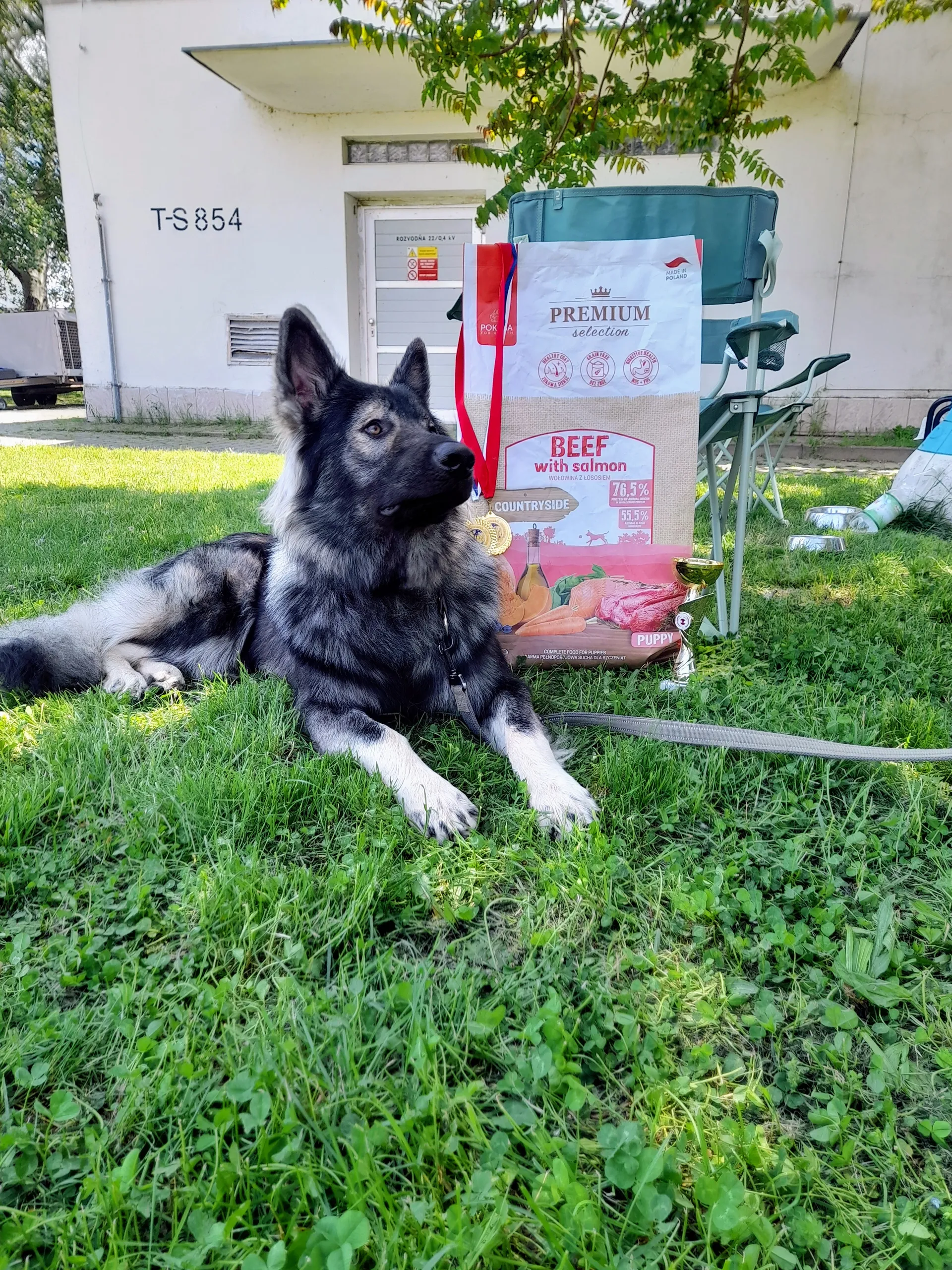 Hugo