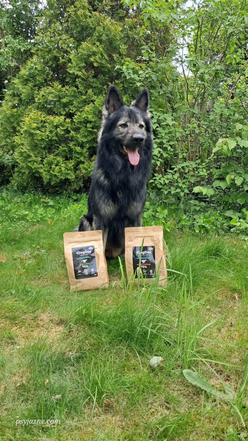 hugo