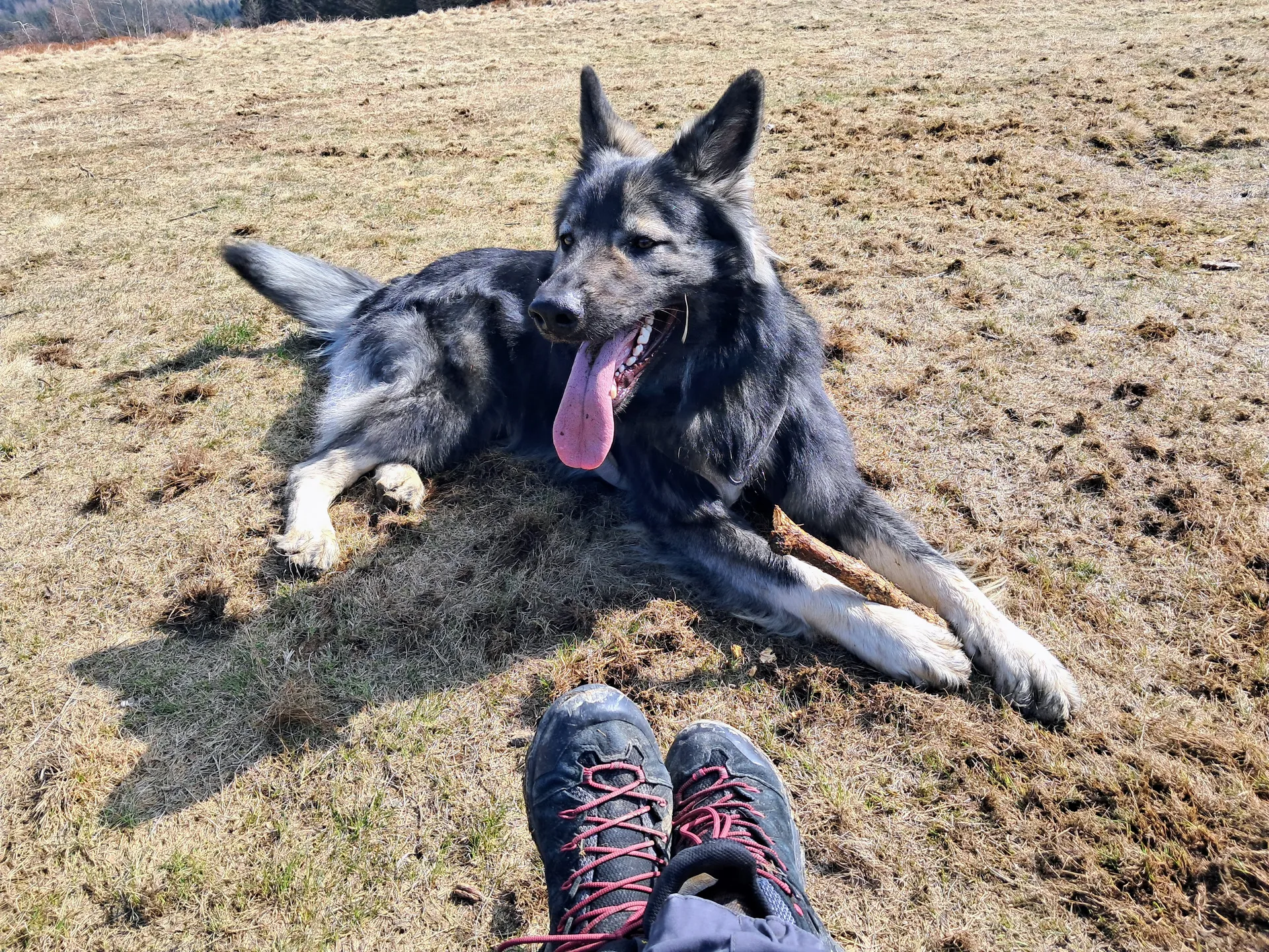 Hugo