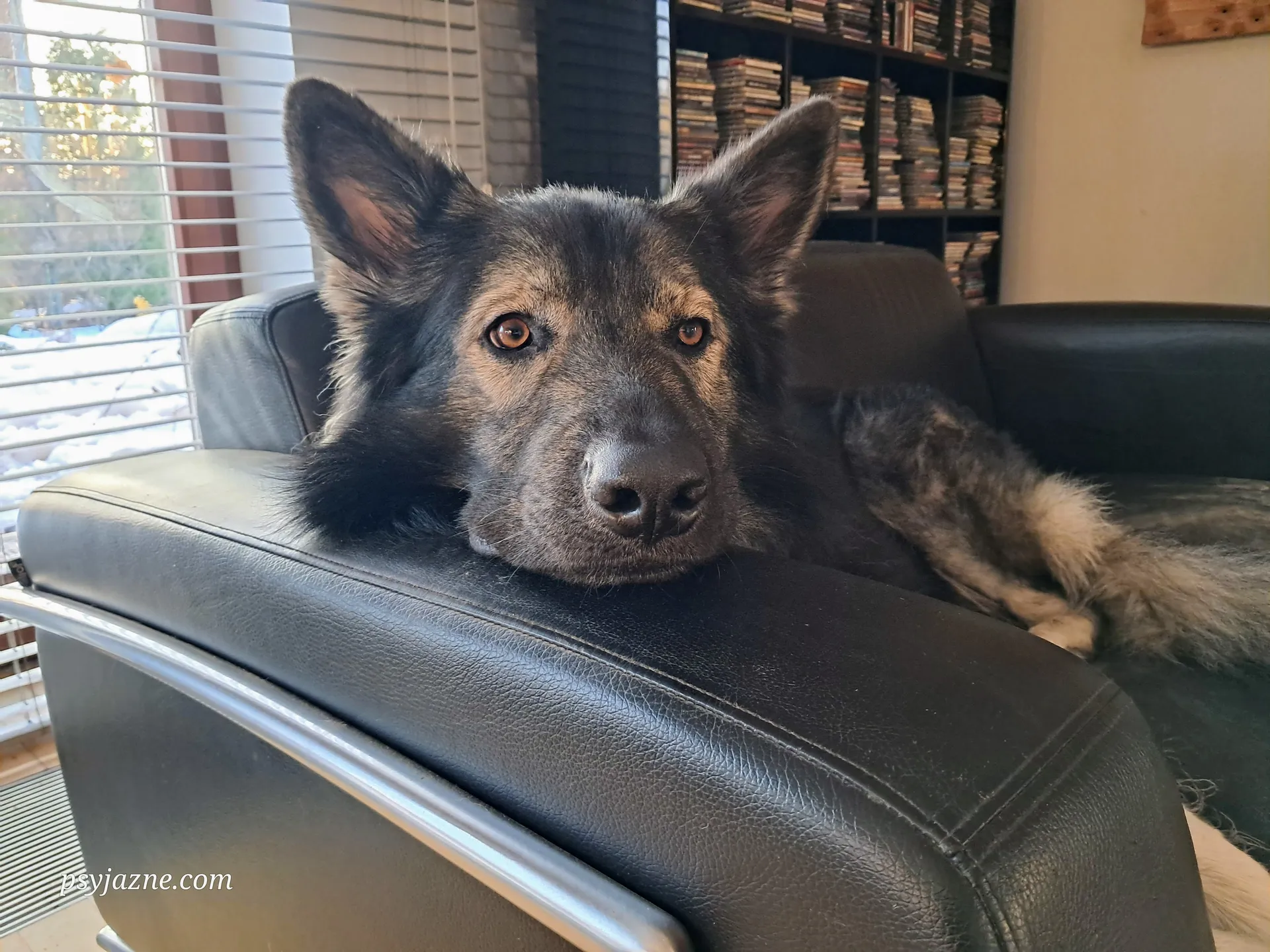Hugo