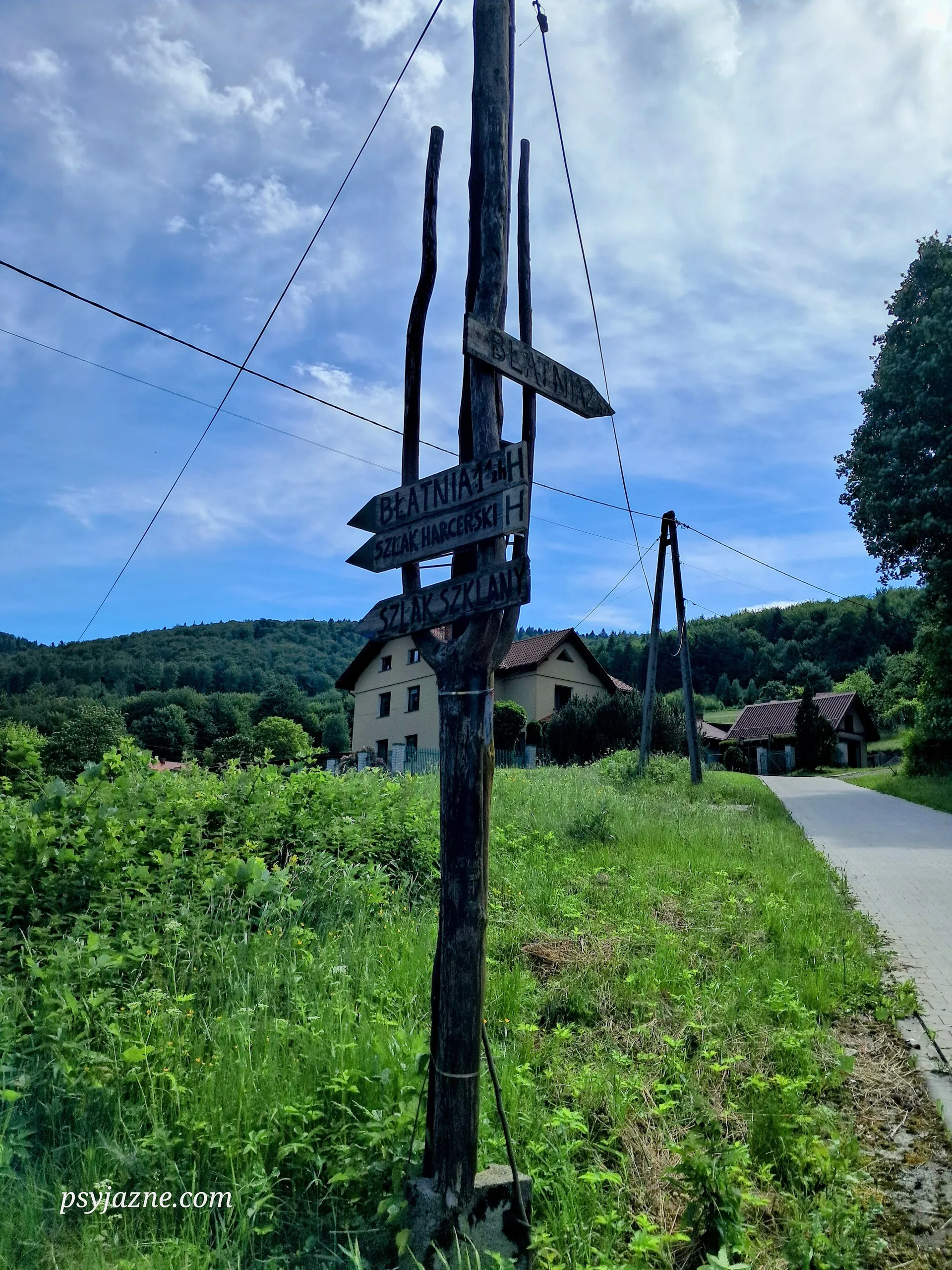 Jaworze