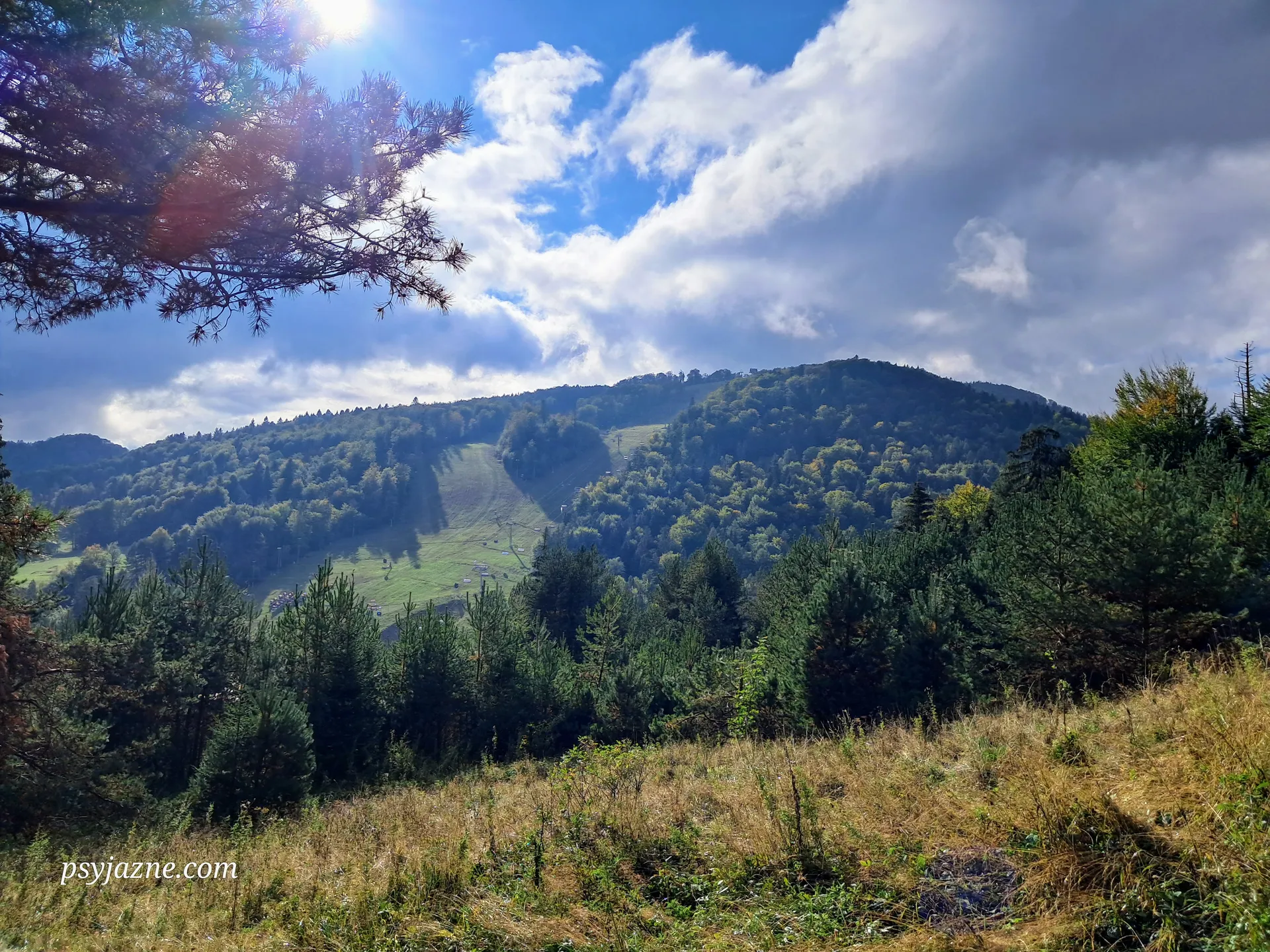 Widok na Jaworzynę Krynicką