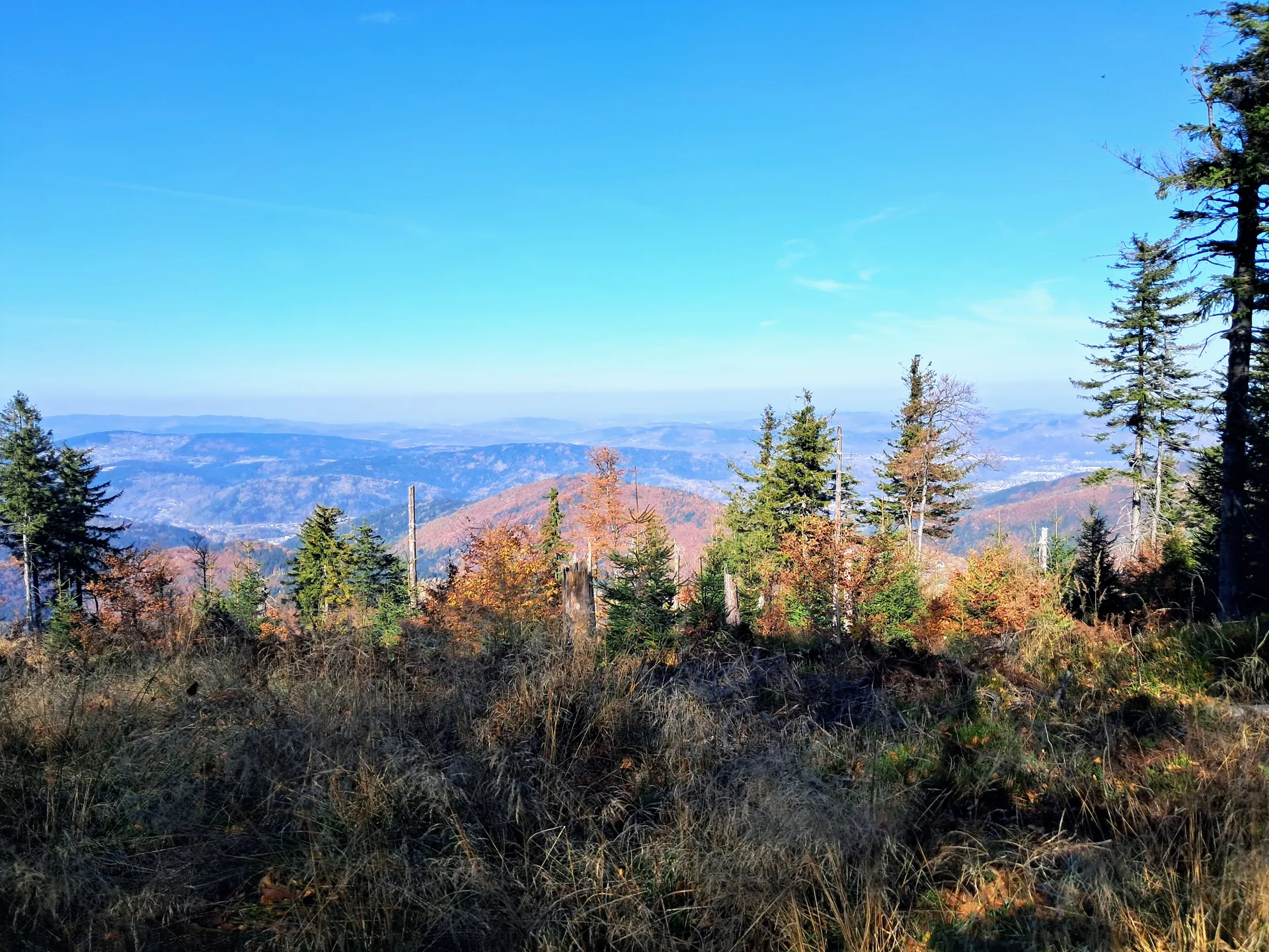 Jesień w Beskidach
